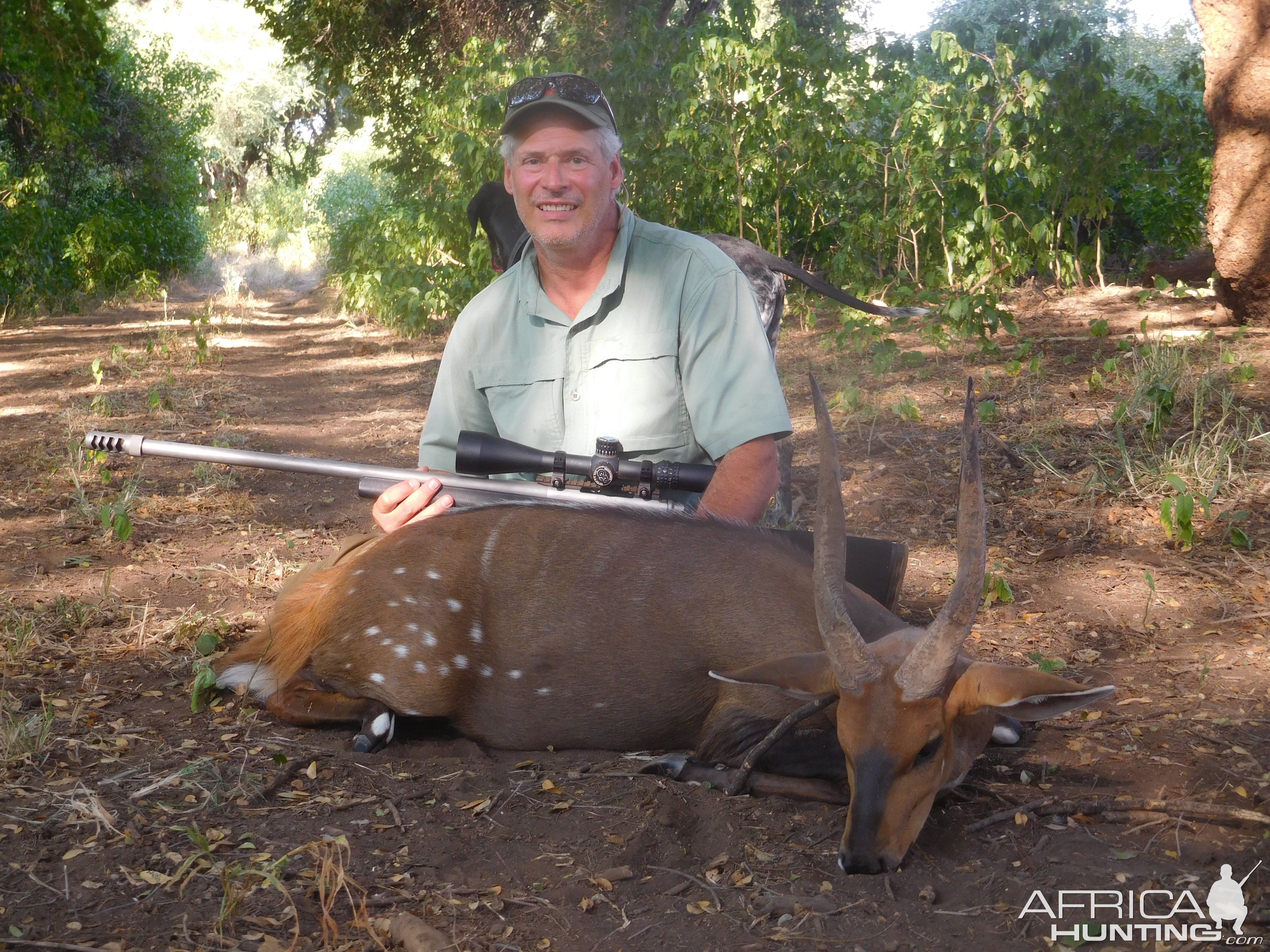 Bushbuck Hunting South Africa