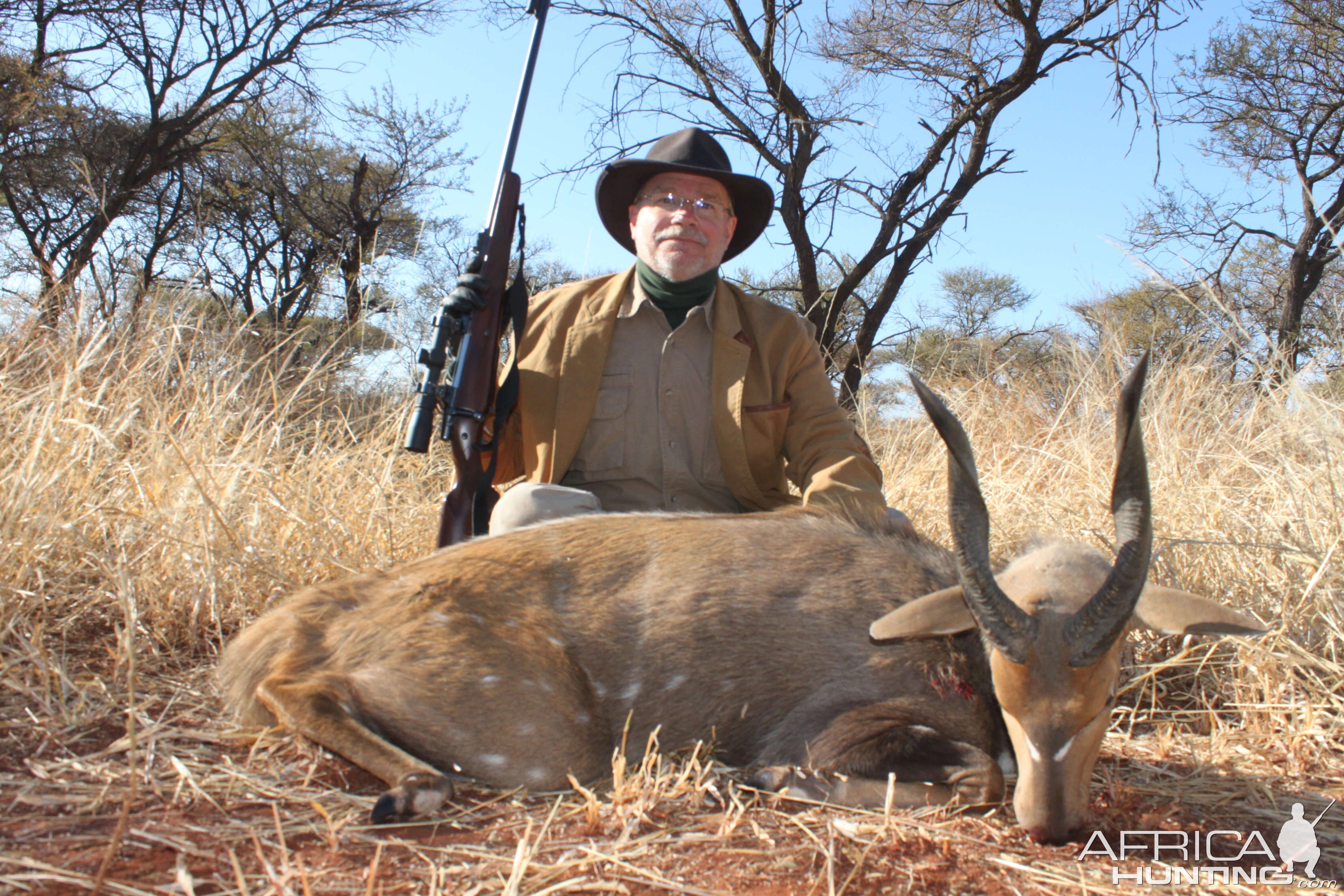 Bushbuck Hunting Waterberg Mountains Limpopo province of South Africa