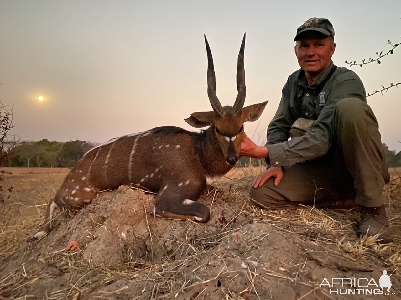 Bushbuck Hunting Zambia