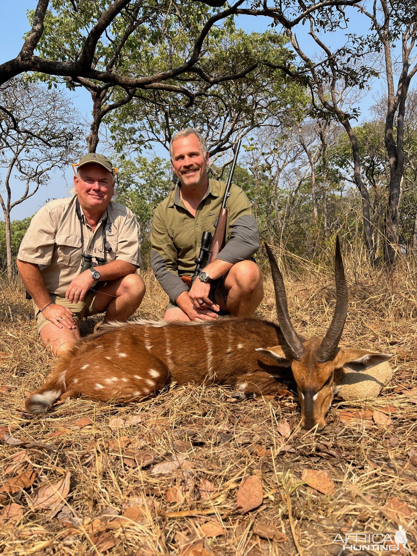 Bushbuck Hunting Zambia