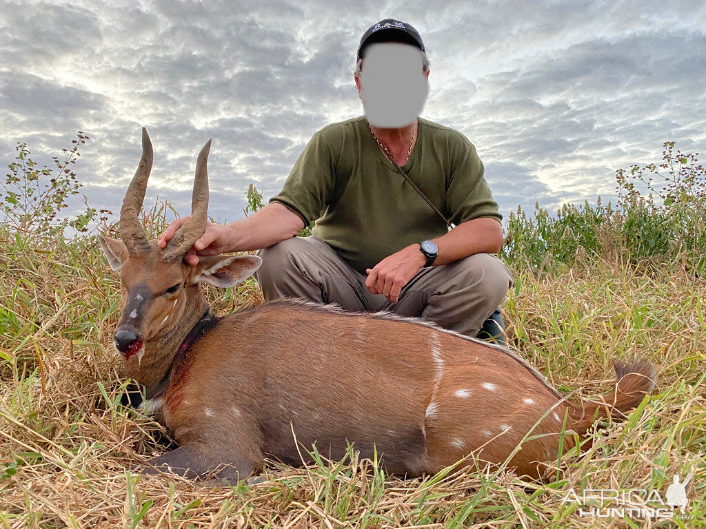 Bushbuck Hunting Zimbabwe