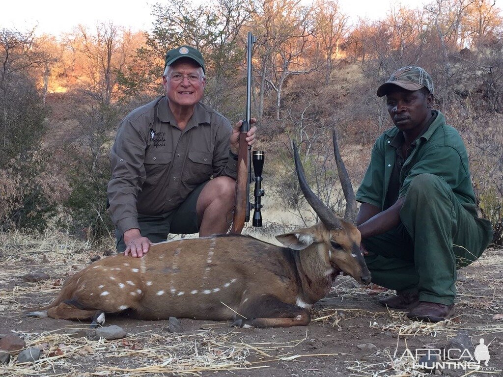 Bushbuck Hunting Zimbabwe