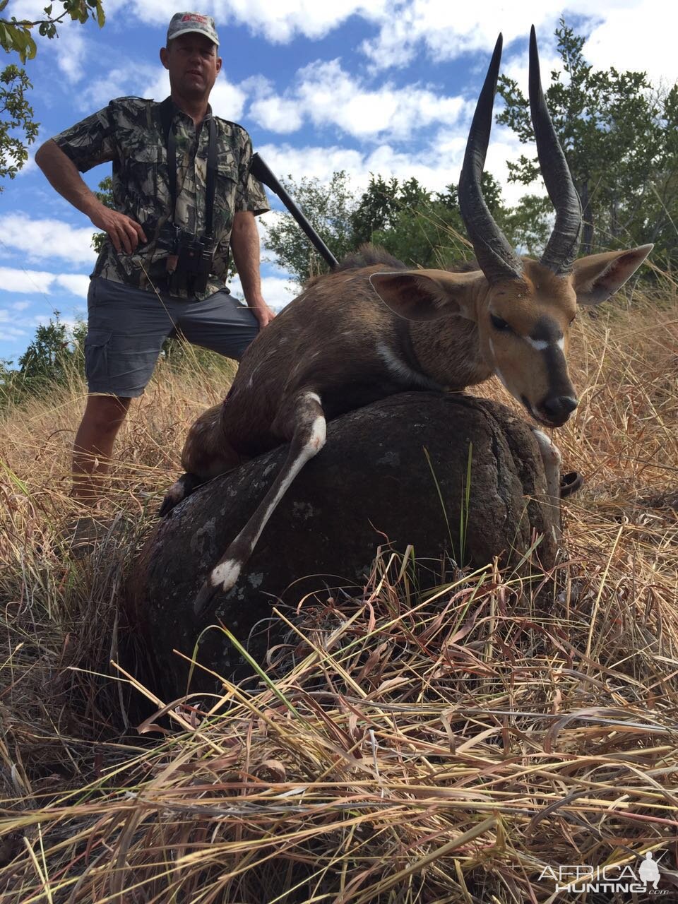 Bushbuck Hunting