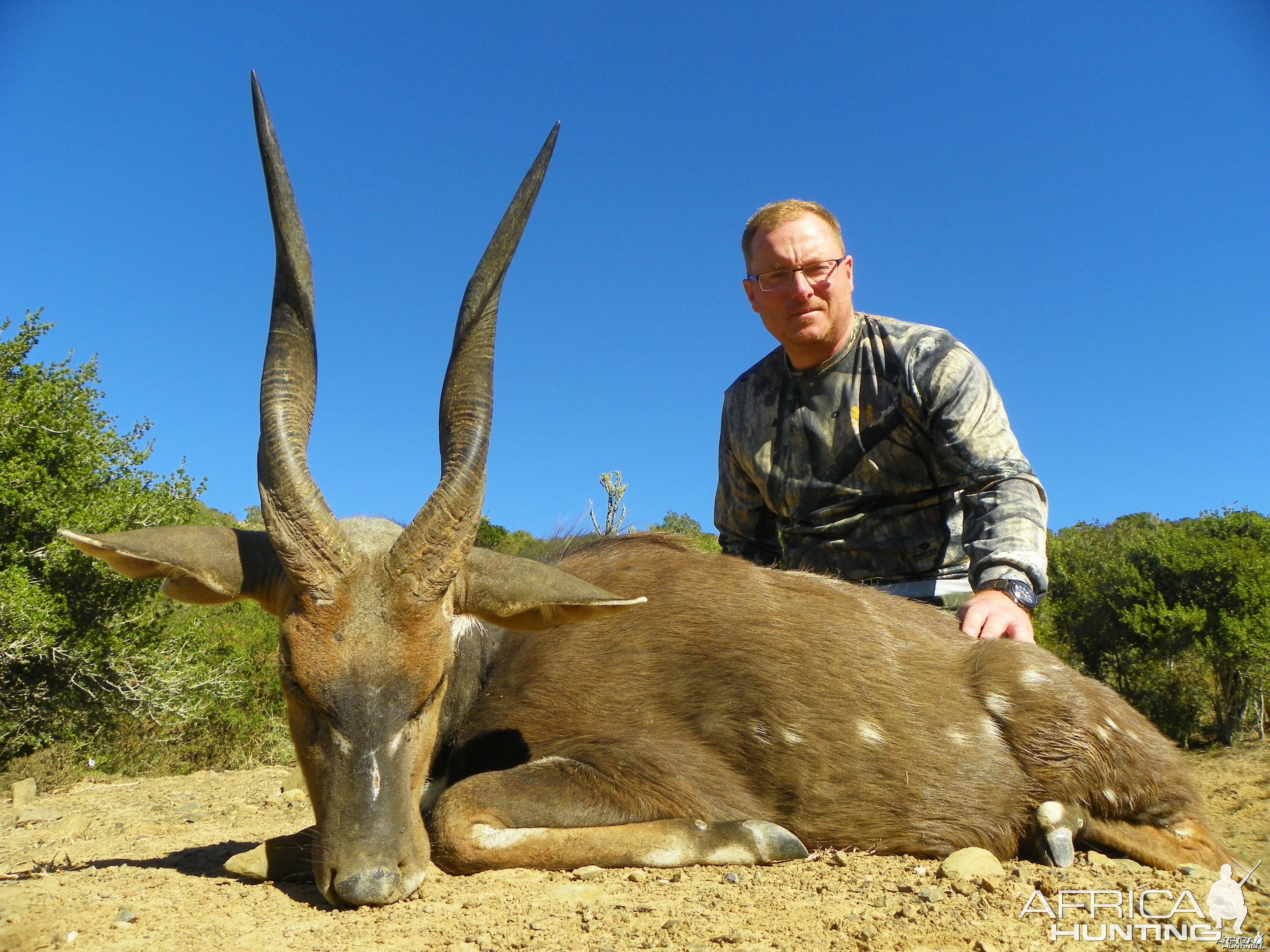 Bushbuck KMG Hunting Safaris