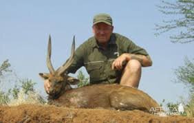 Bushbuck limpopo