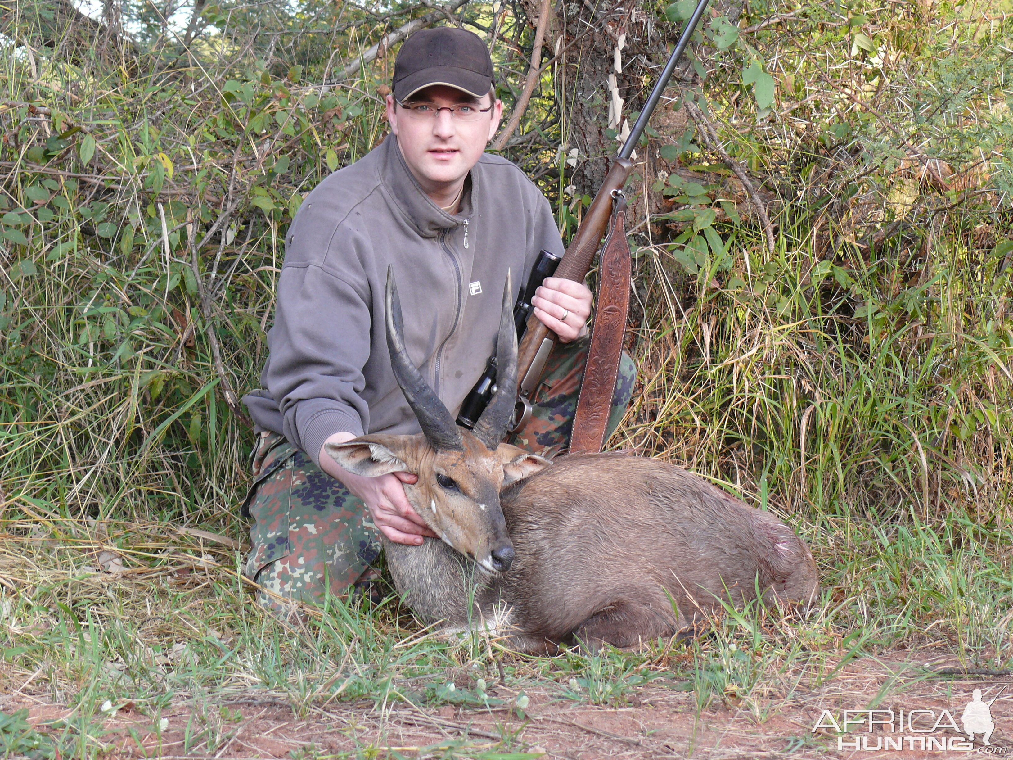 Bushbuck, RSA 2009