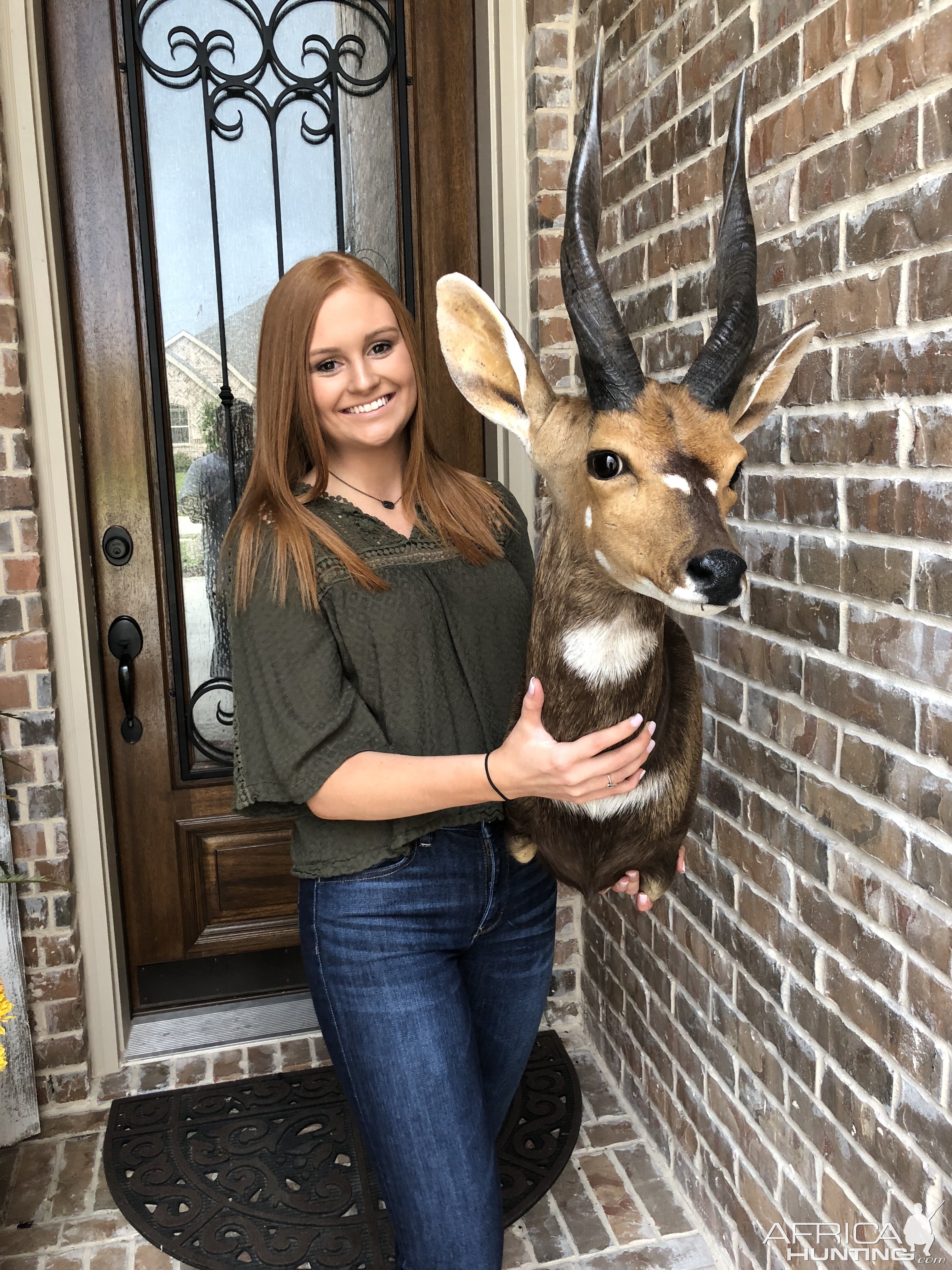 Bushbuck Shoulder Mount Taxidermy