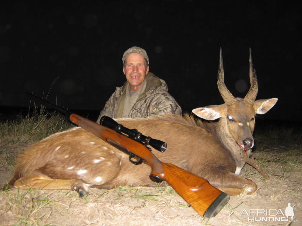 Bushbuck South Africa