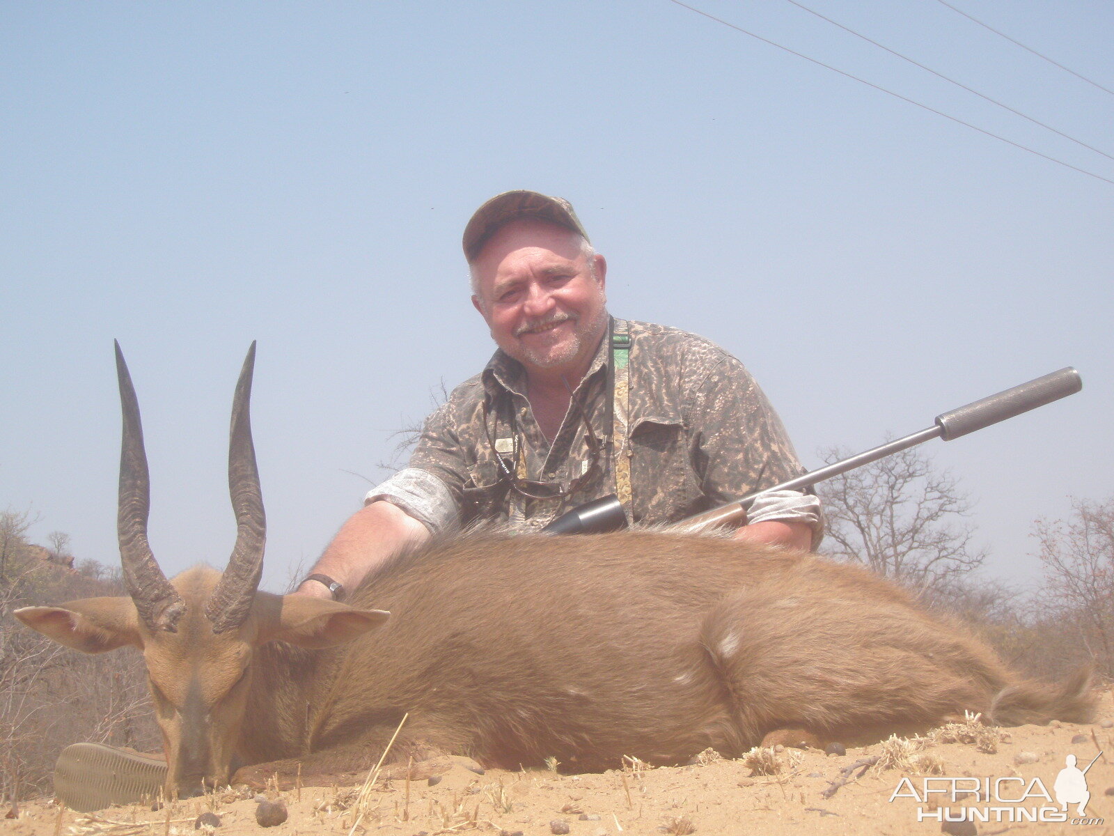 Bushbuck South Africa