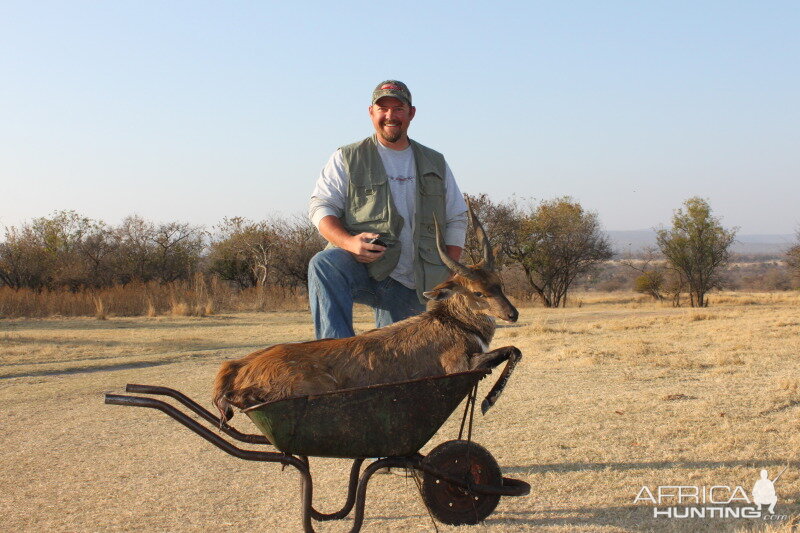 Bushbuck South Africa