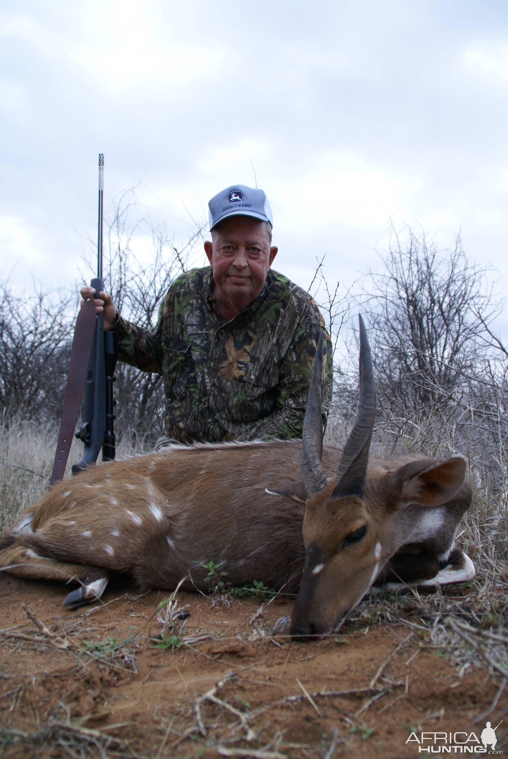 Bushbuck - South Africa