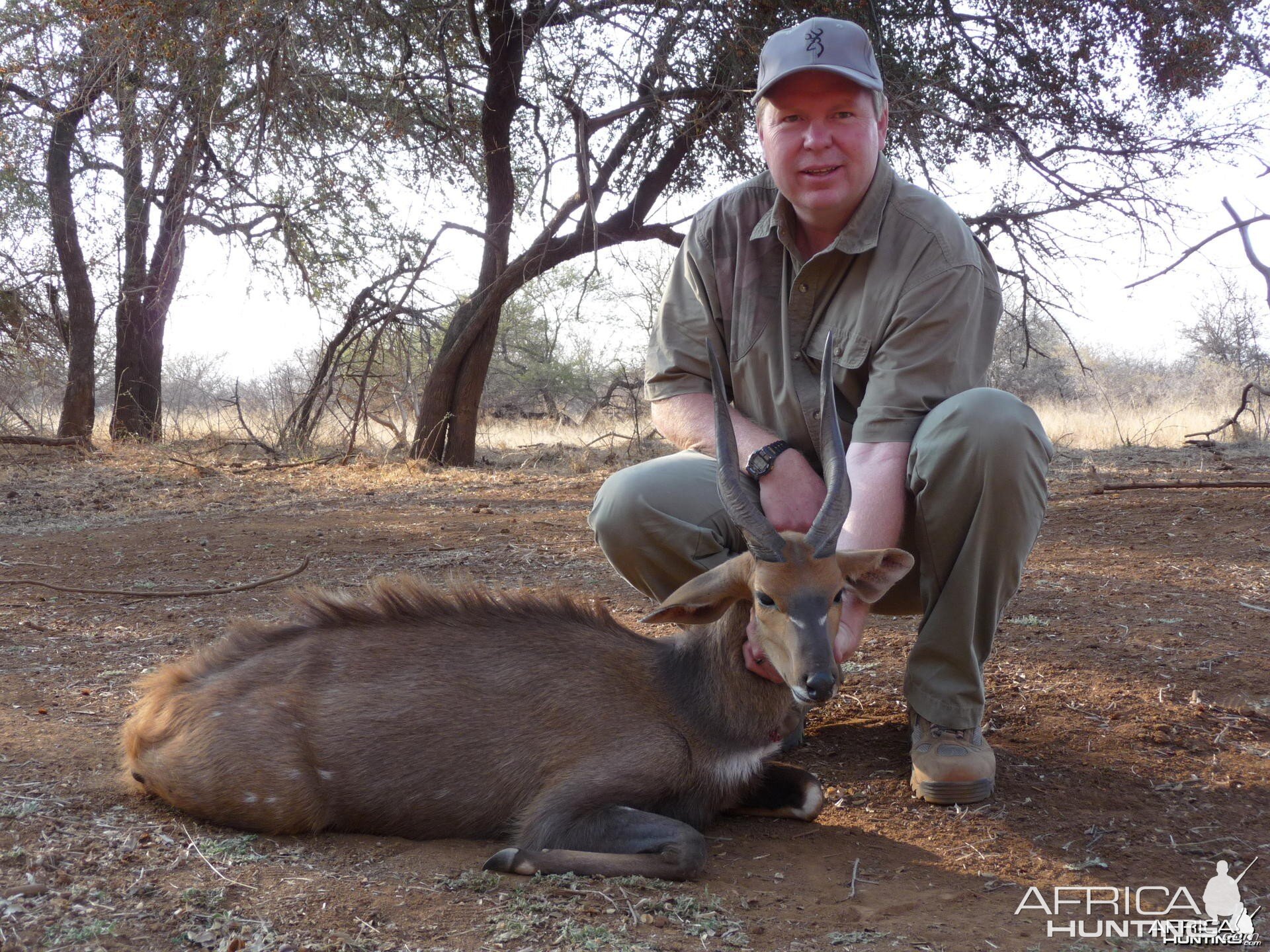 Bushbuck South Africa