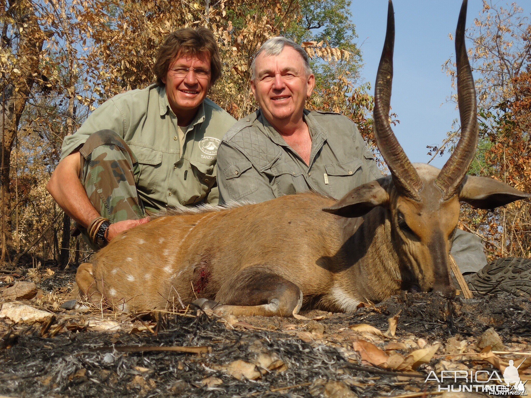 Bushbuck Tanzania