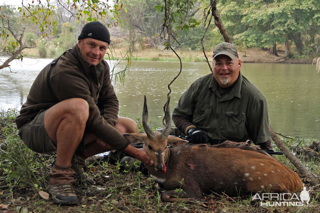 Bushbuck Zimbabwe Hunting