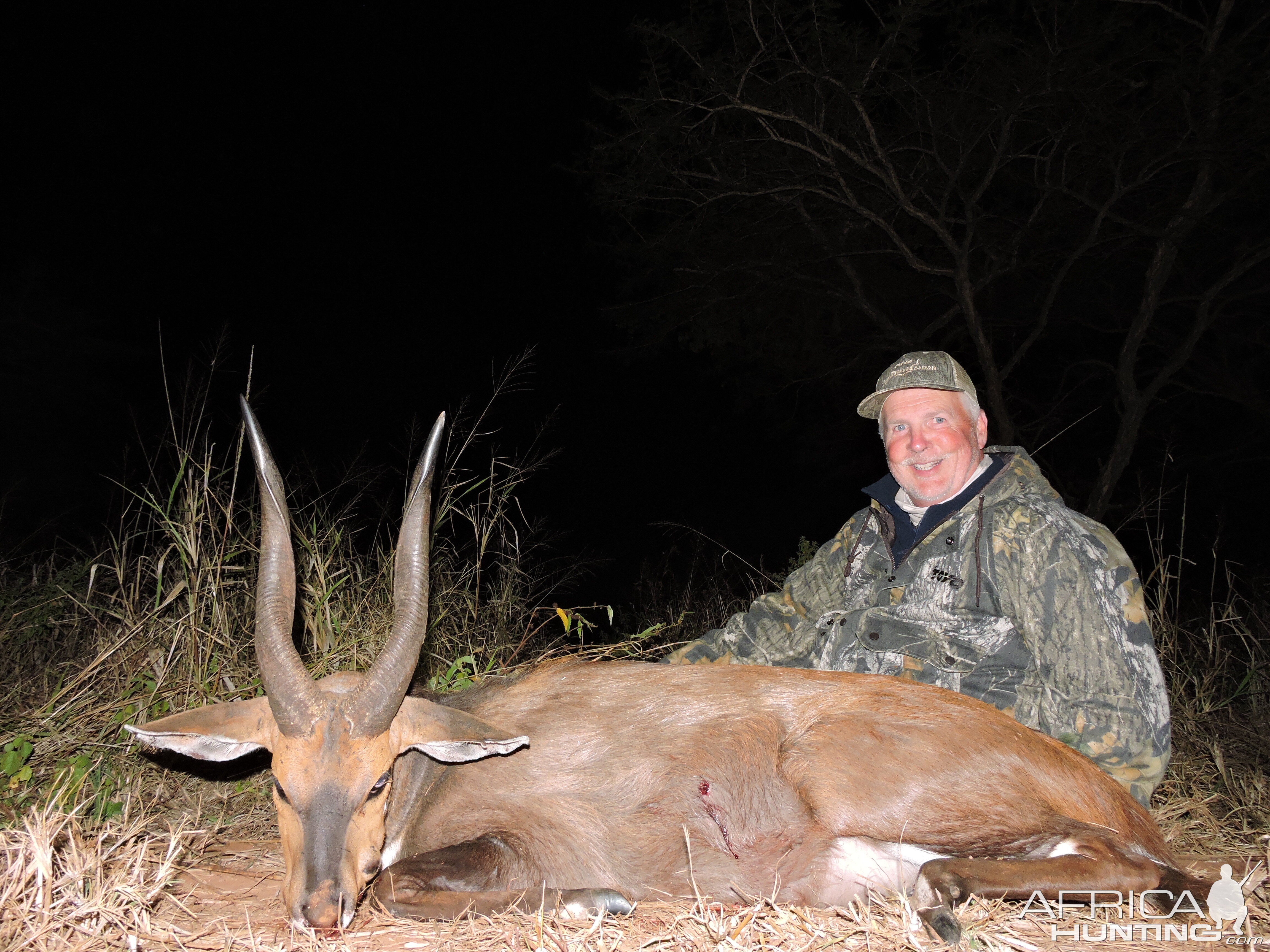 Bushbuck