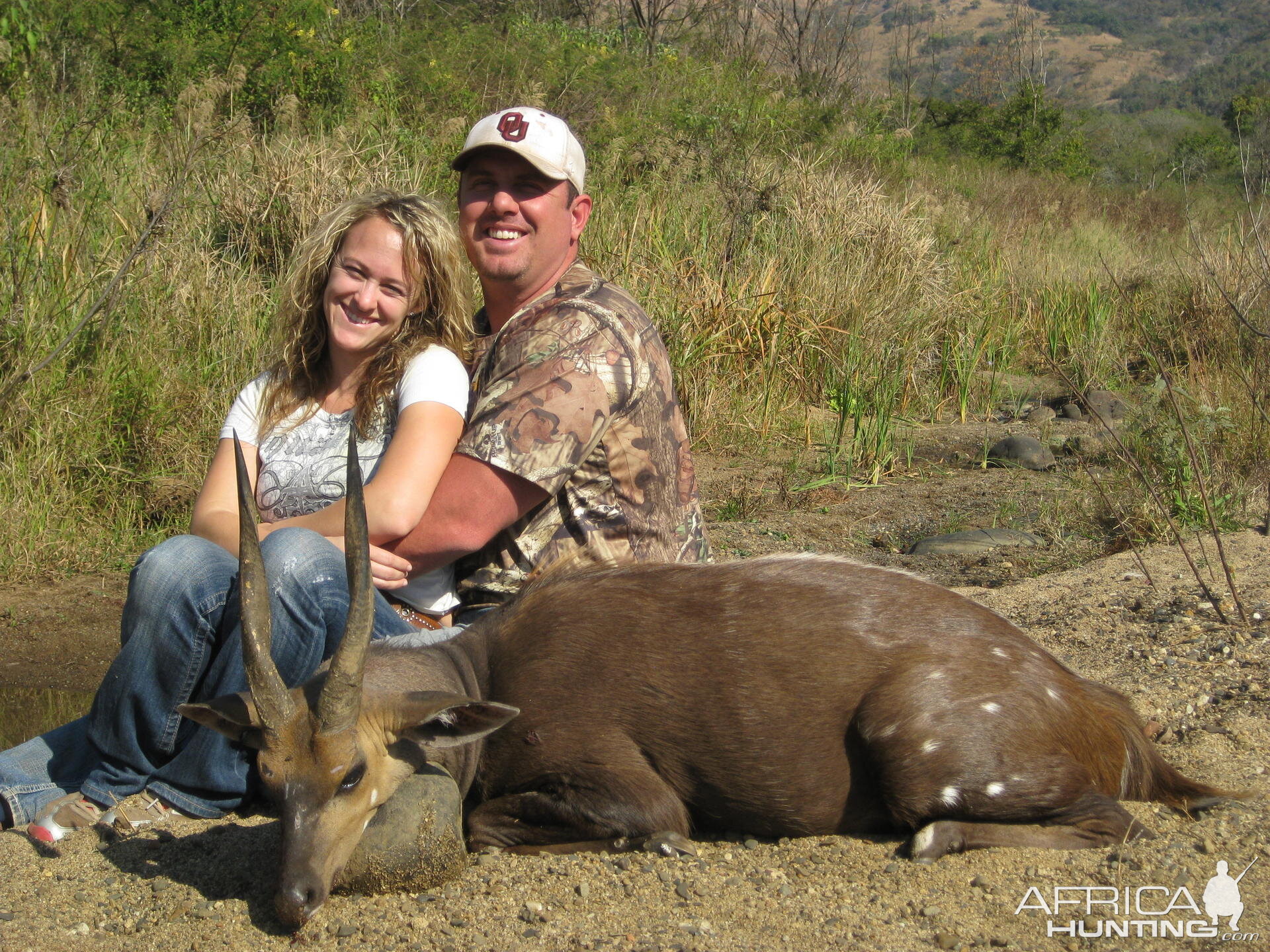 Bushbuck