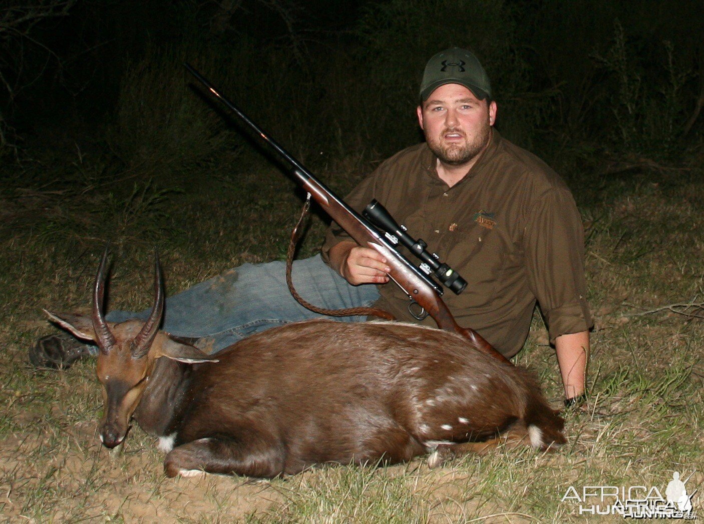 Bushbuck