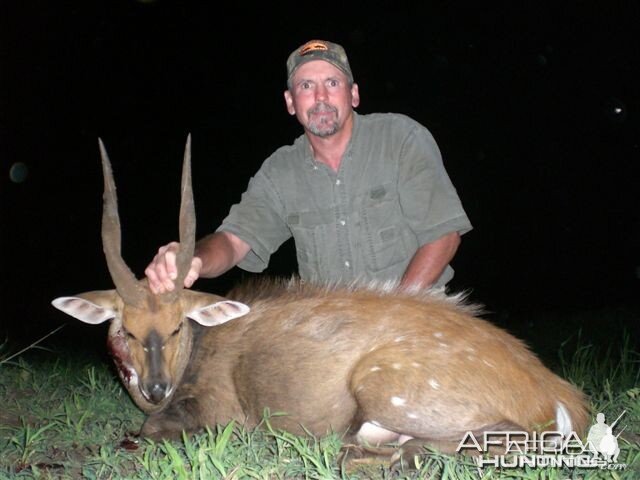 Bushbuck