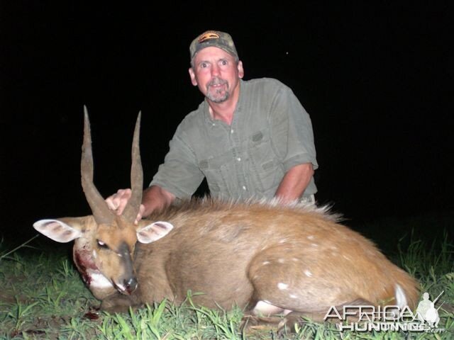 Bushbuck