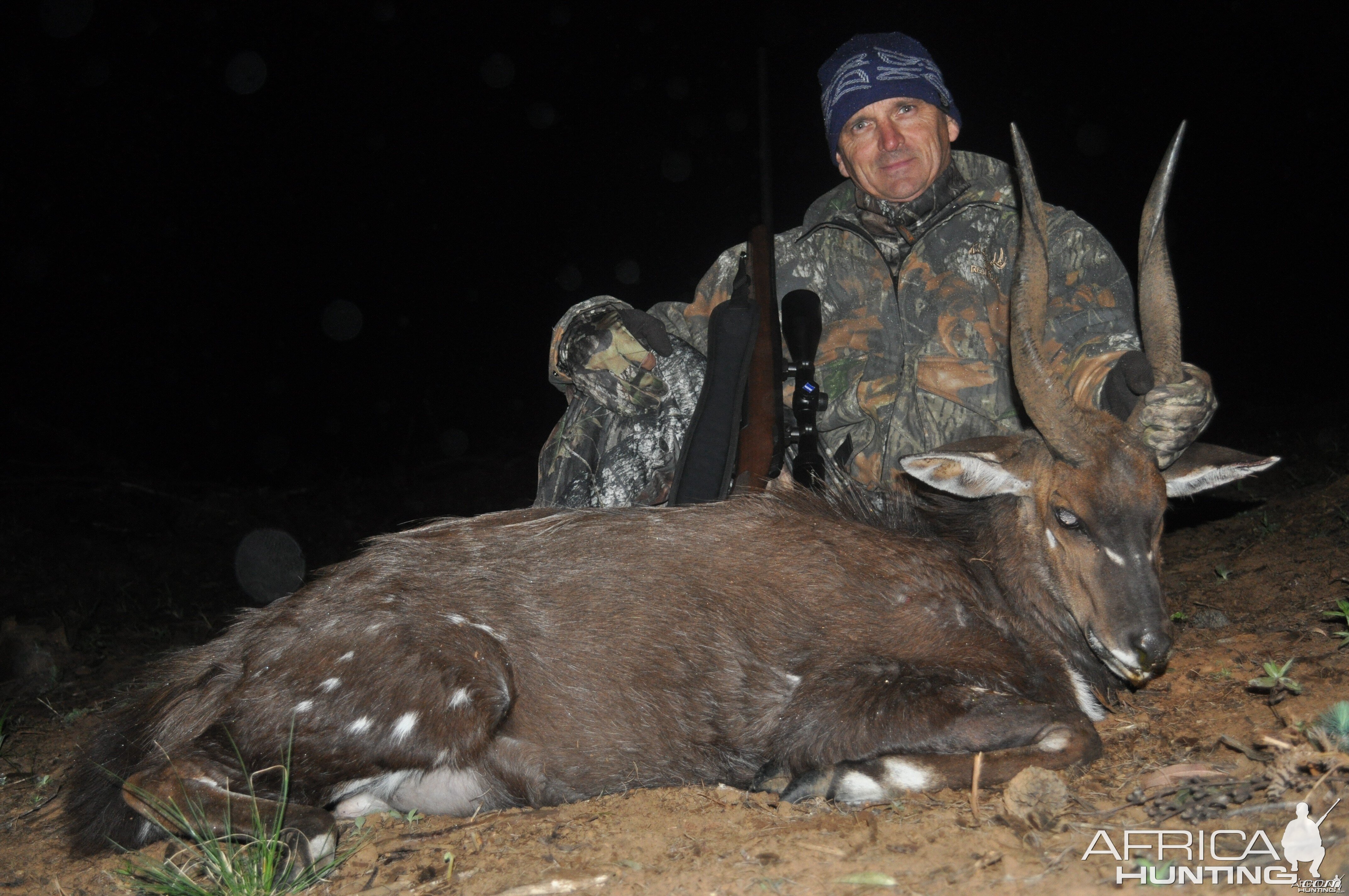 Bushbuck