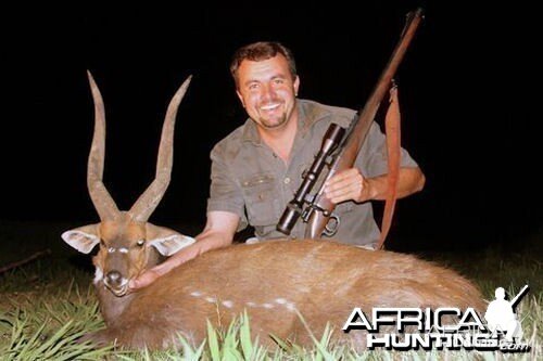 Bushbuck