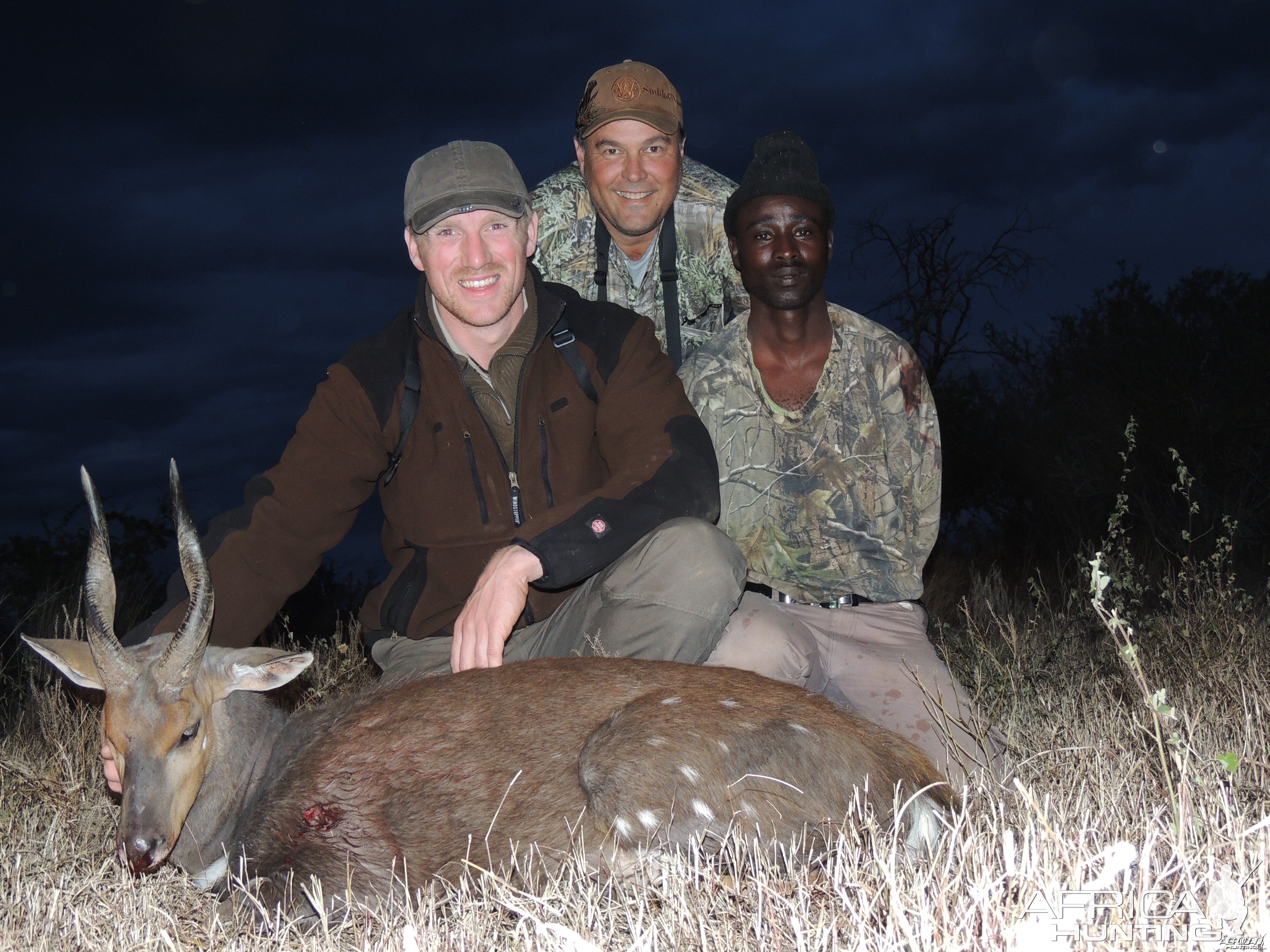 Bushbuck