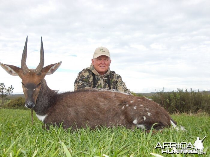 Bushbuck