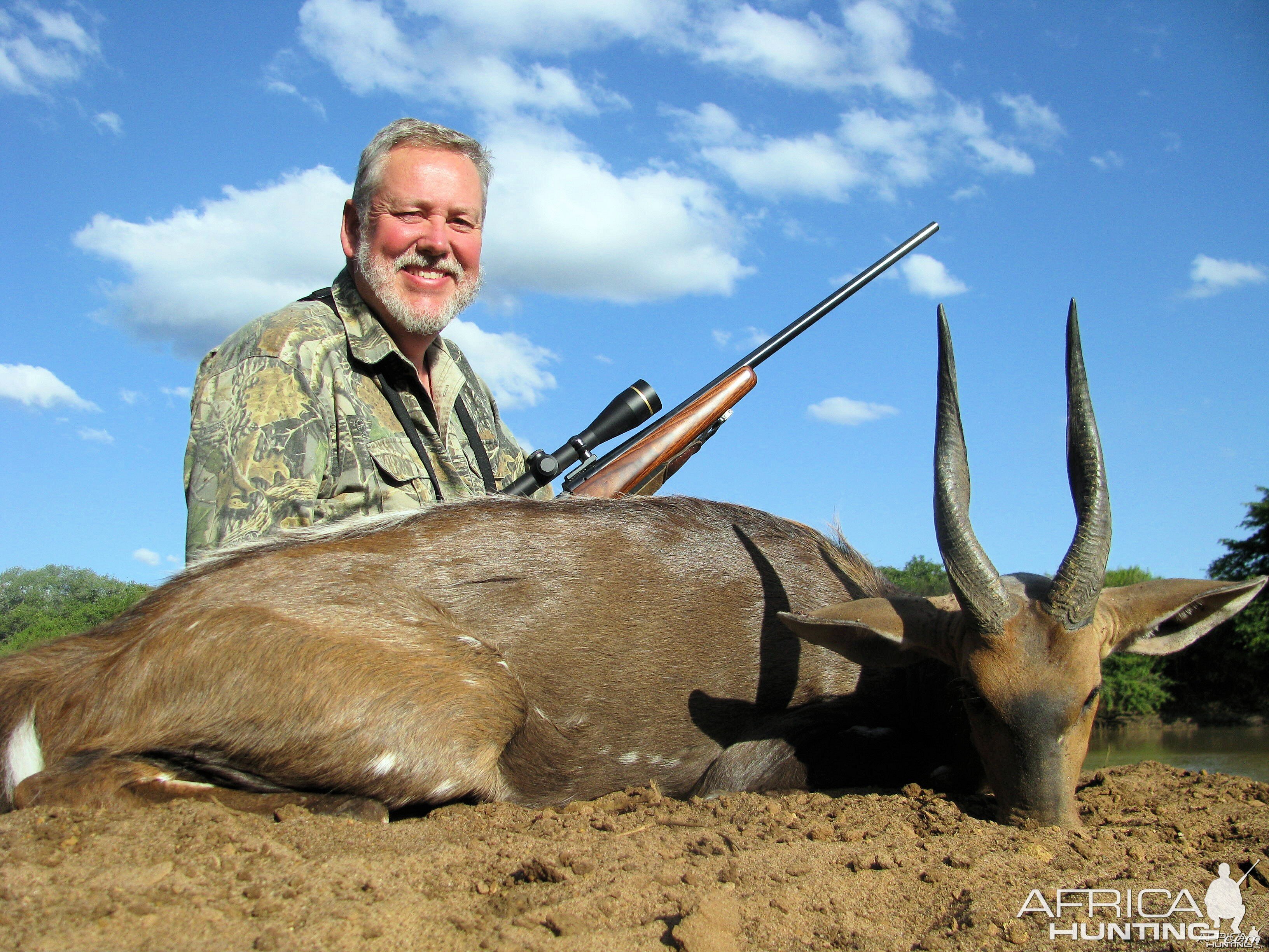 Bushbuck