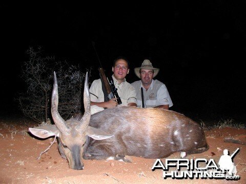 Bushbuck