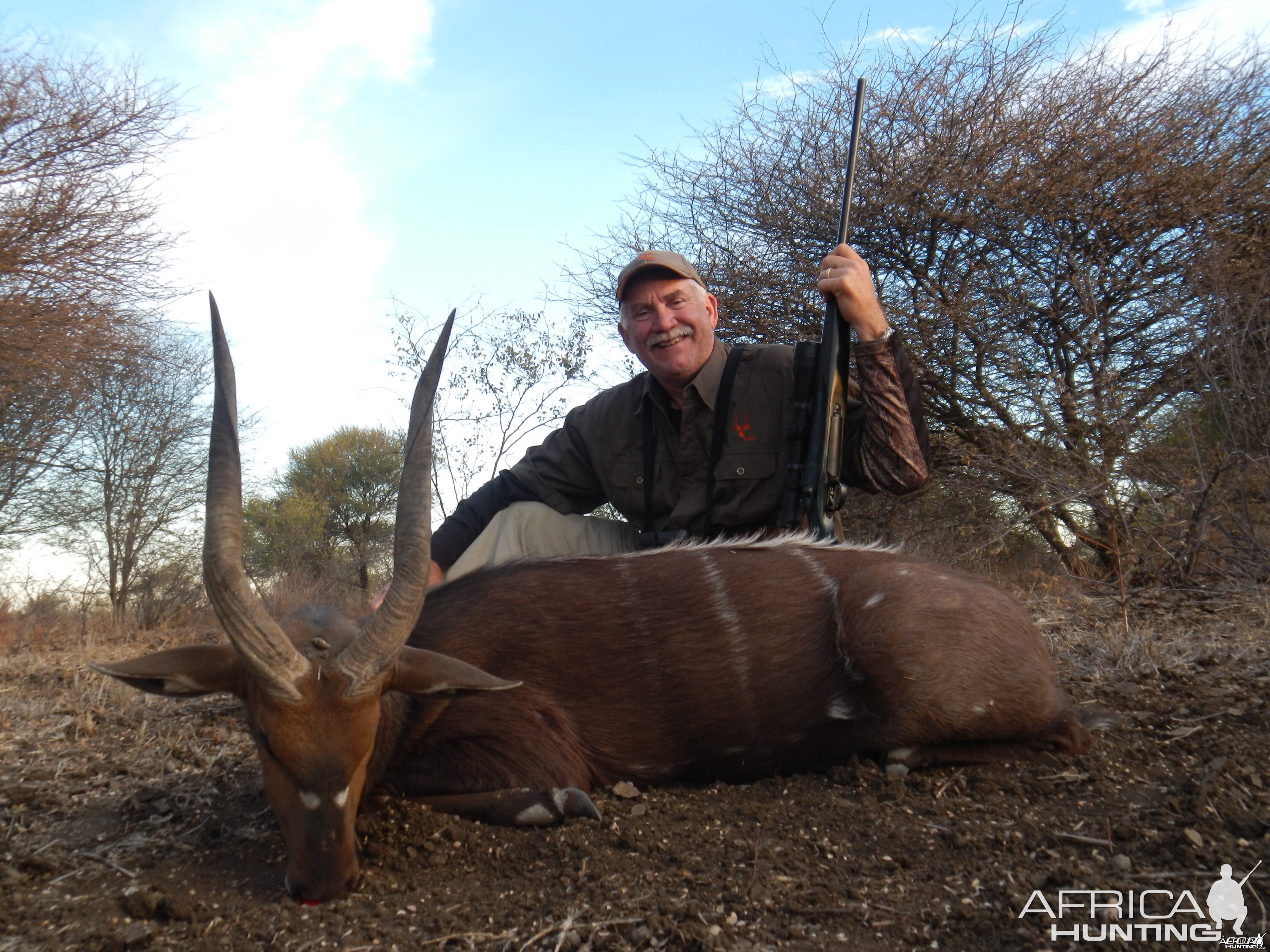 Bushbuck