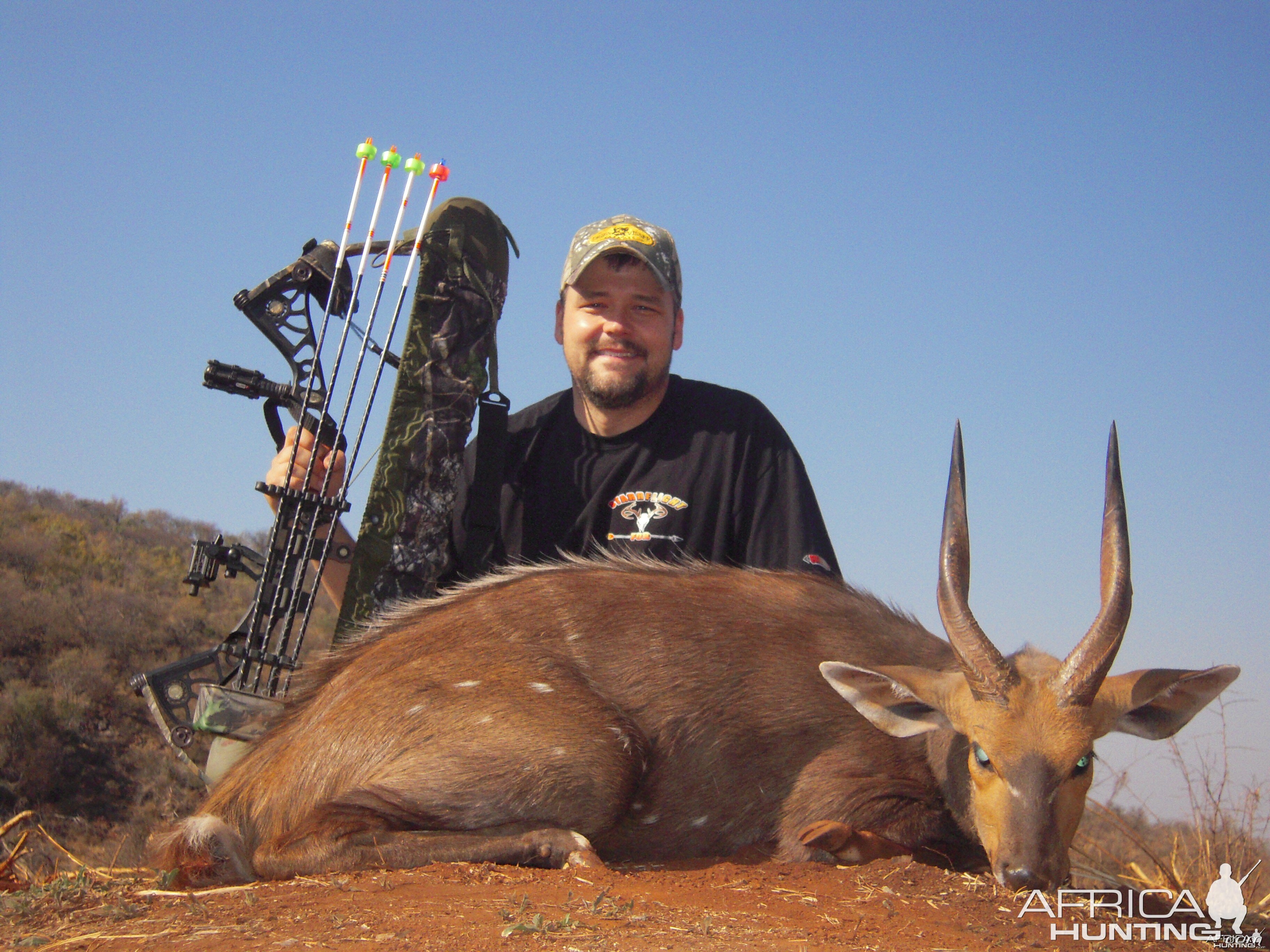 Bushbuck