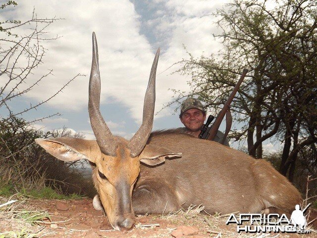 Bushbuck