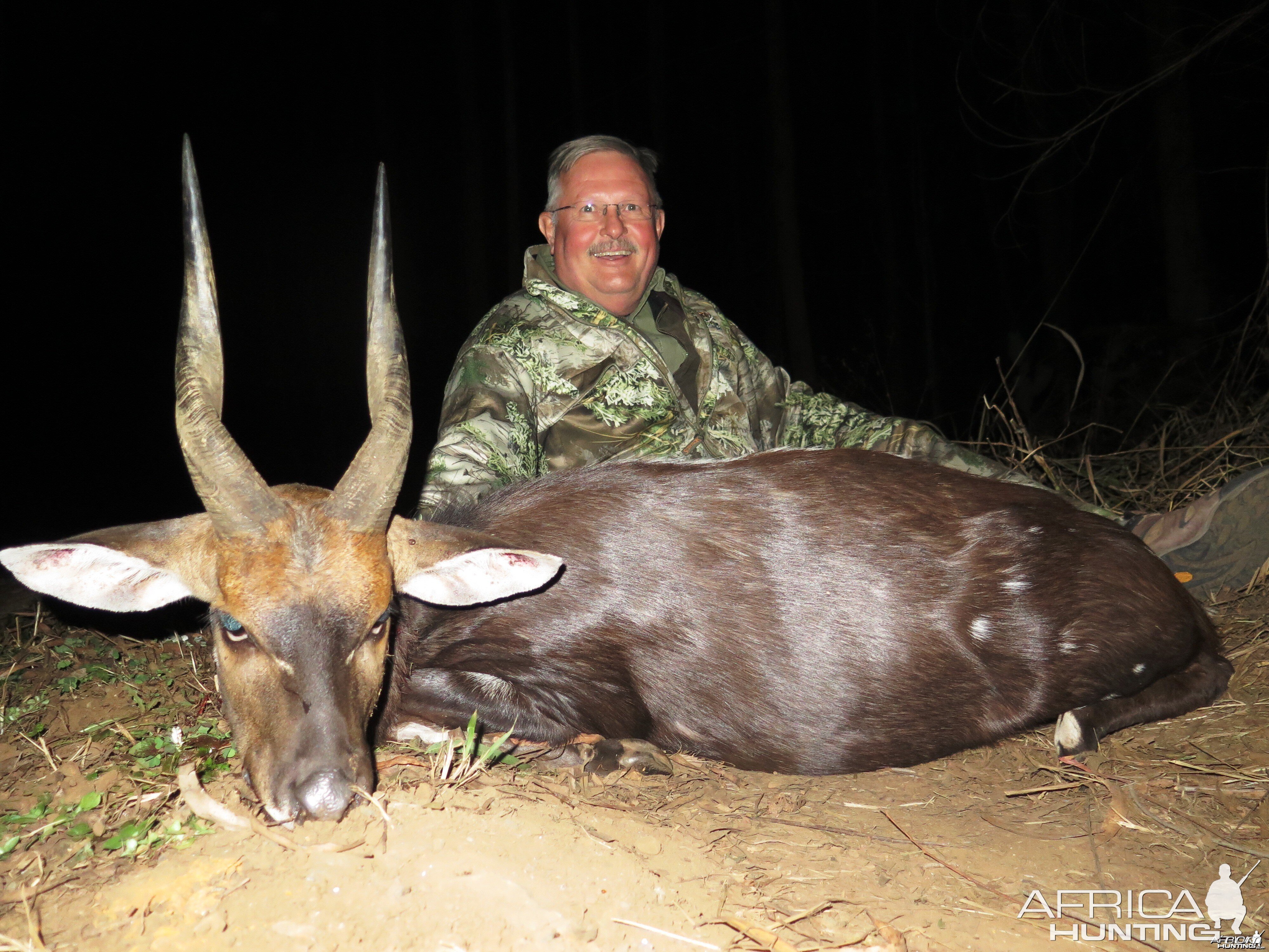 Bushbuck