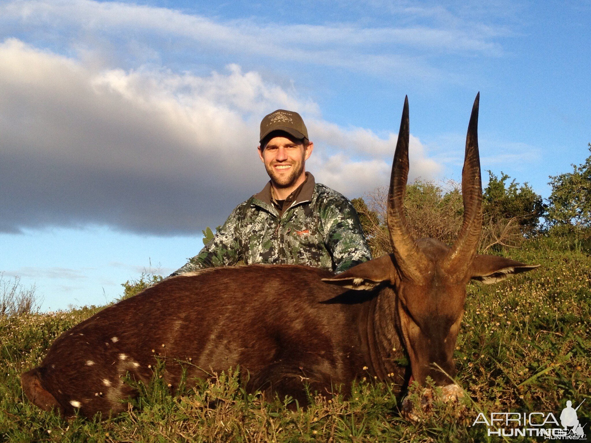 Bushbuck