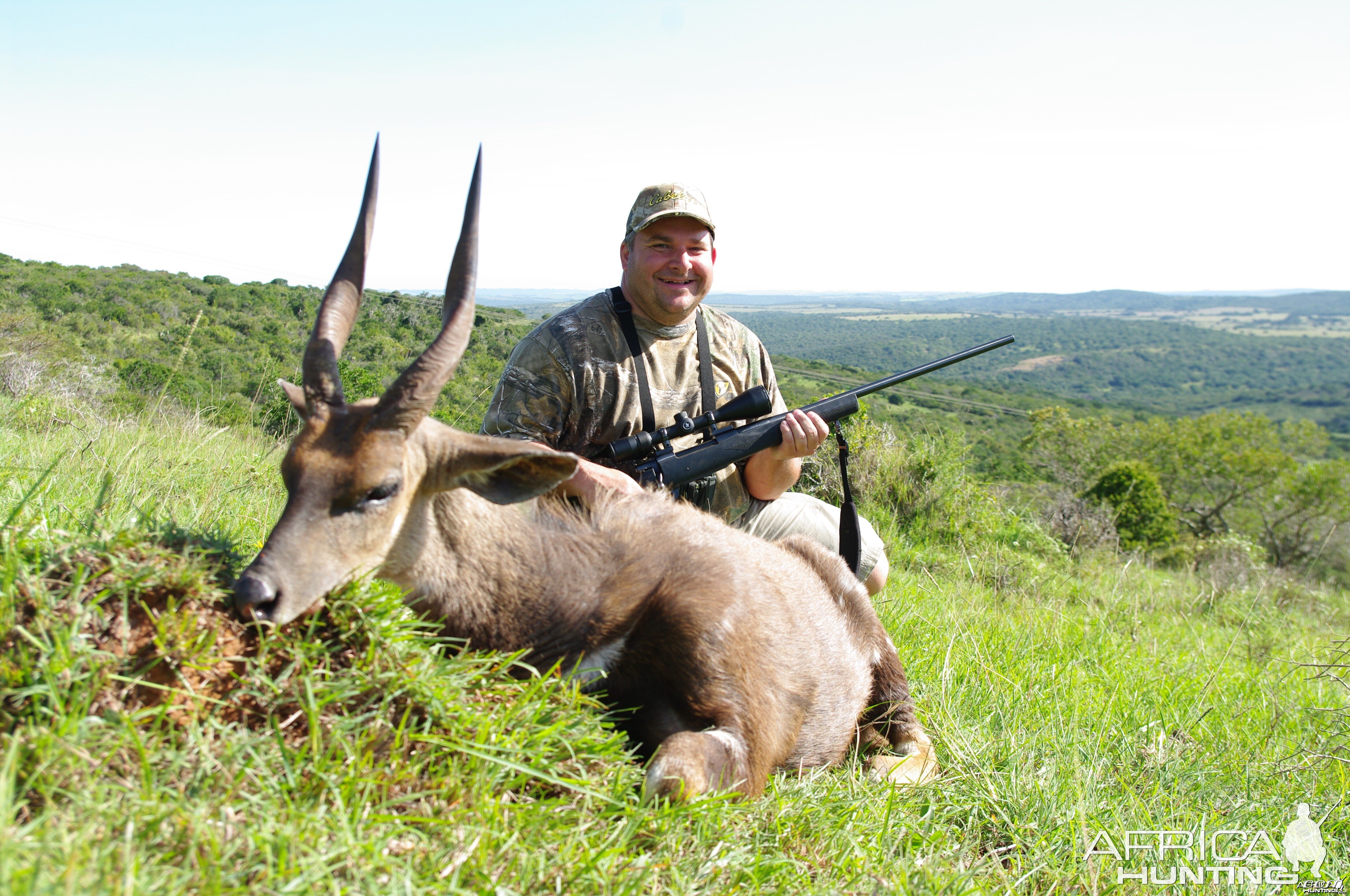 Bushbuck