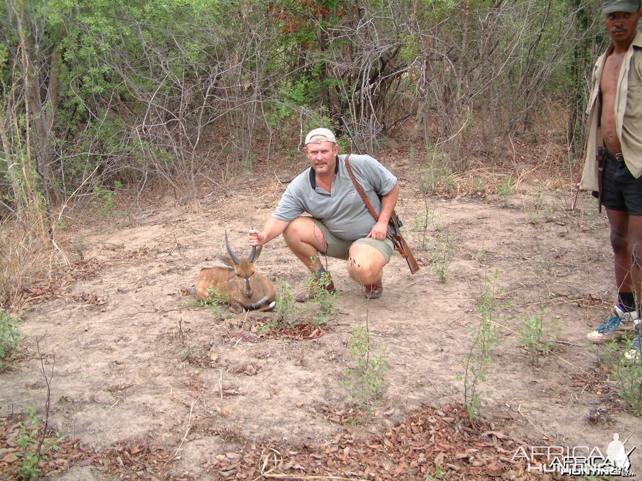 Bushbuck