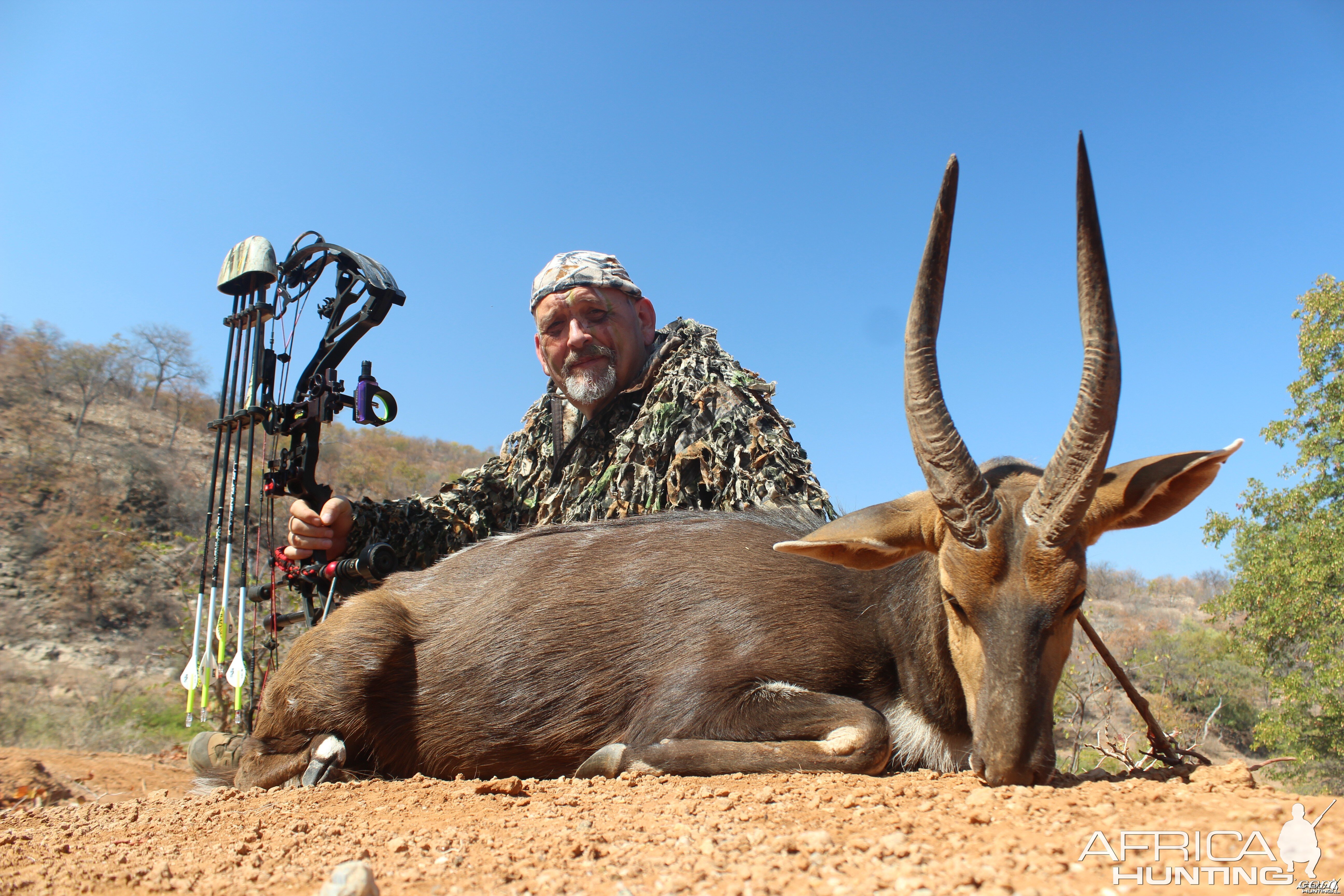 Bushbuck