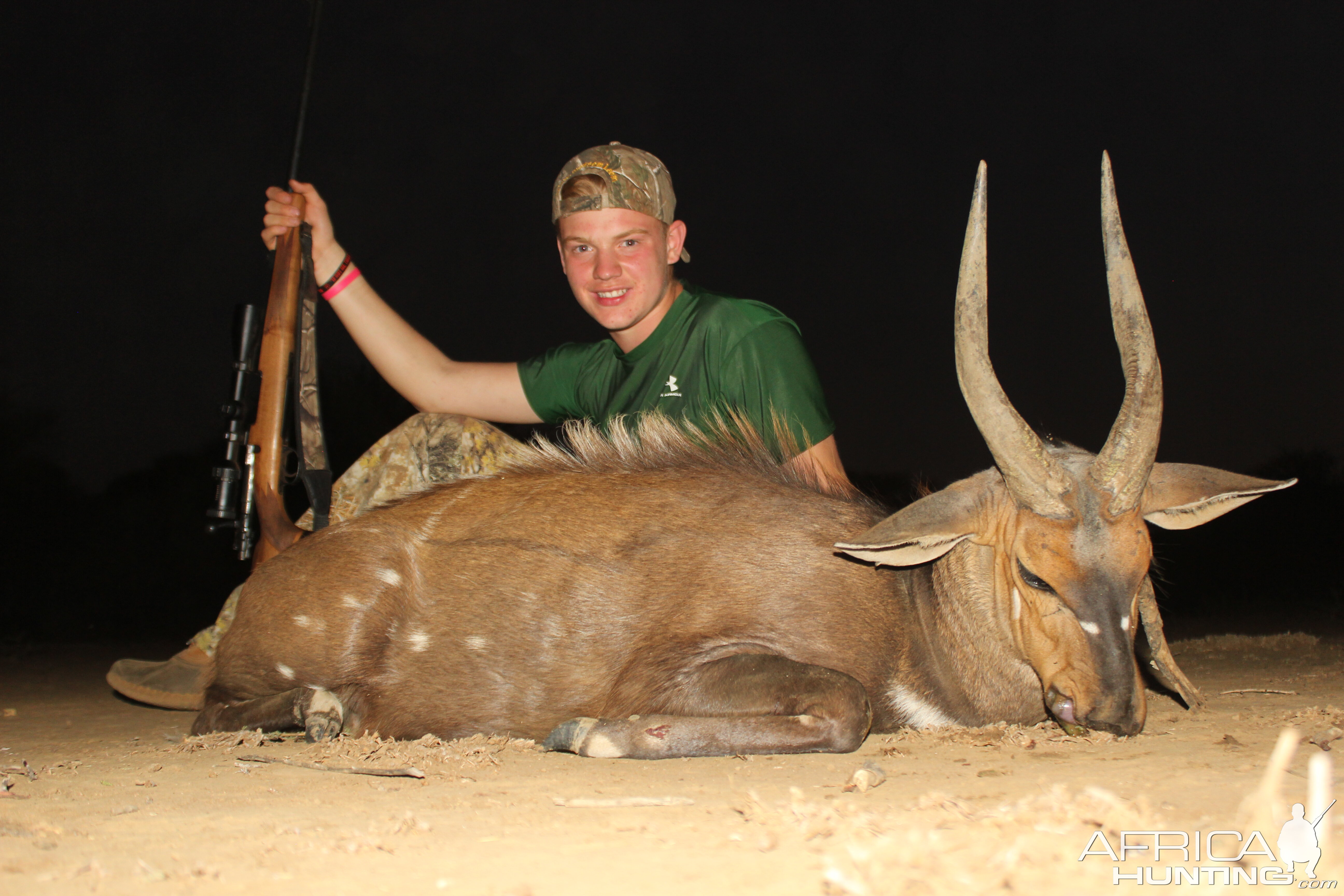 Bushbuck