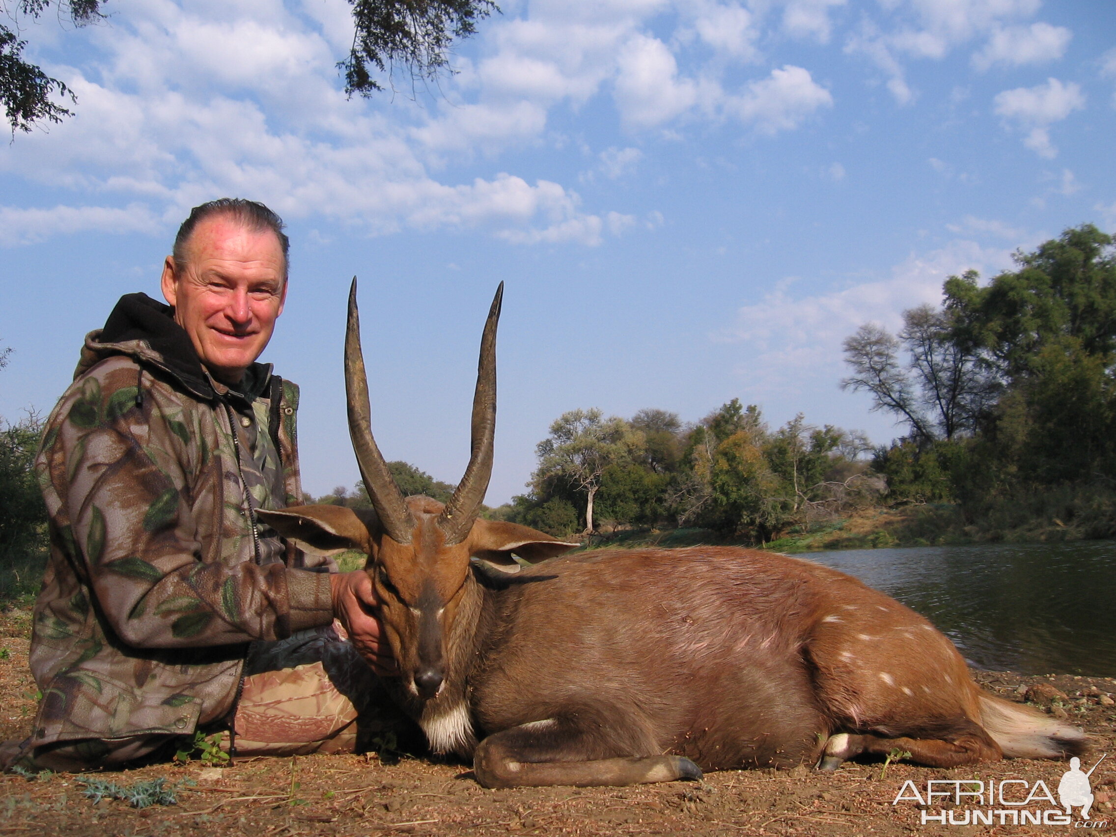 Bushbuck