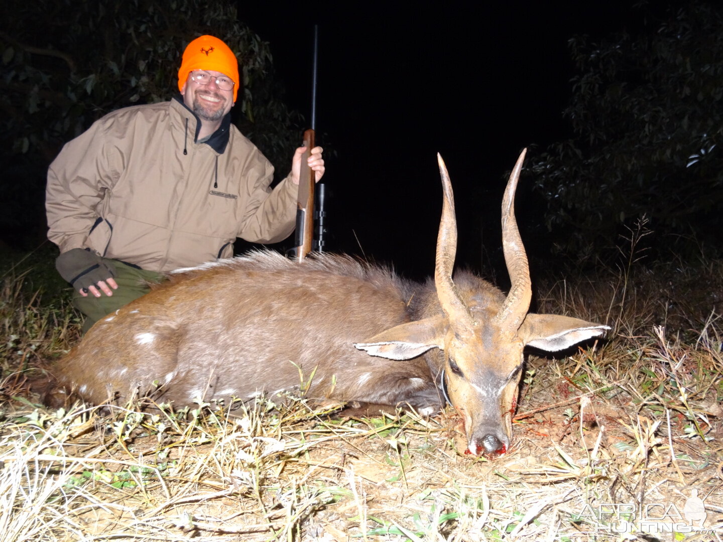 Bushbuck