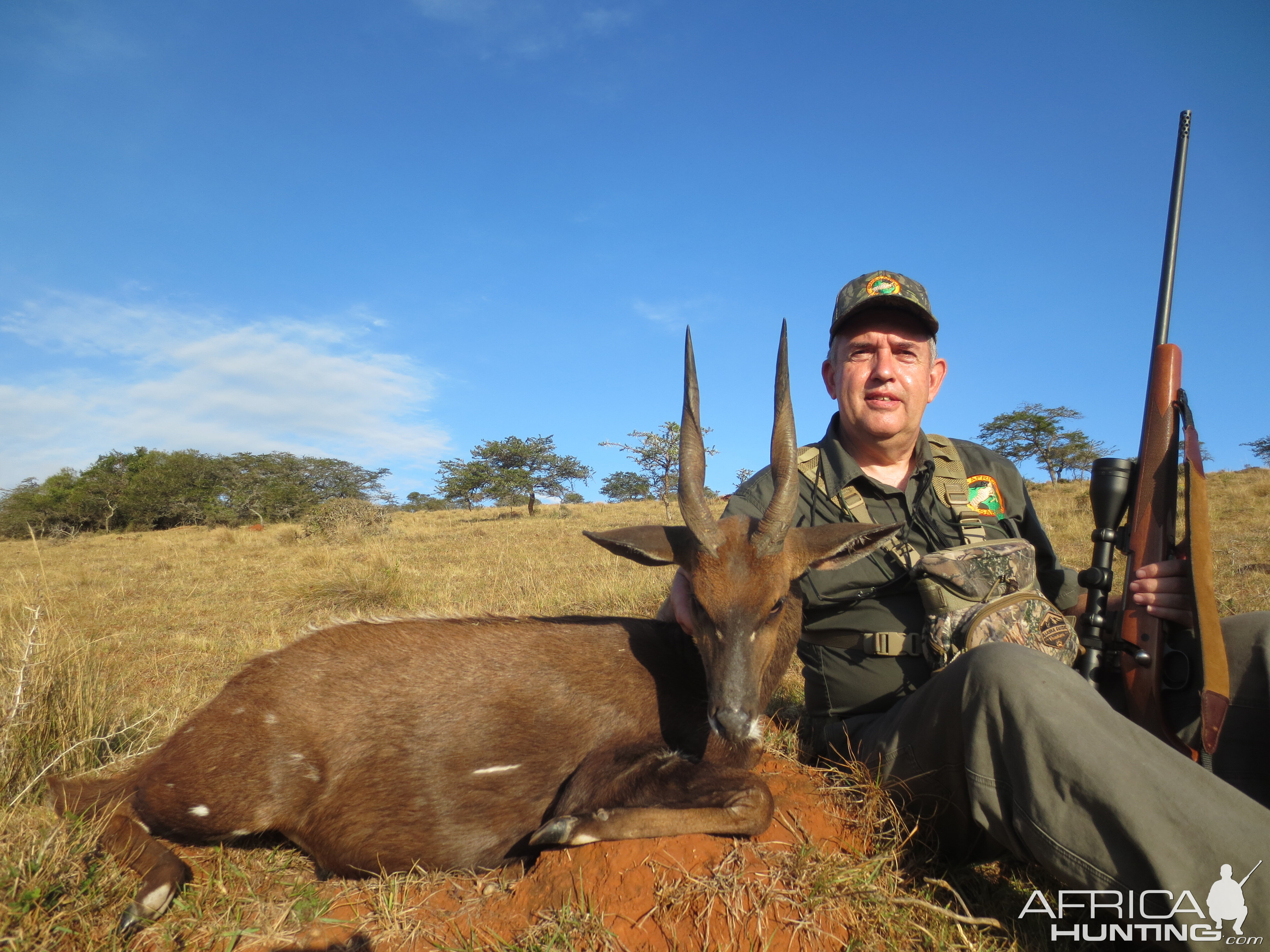 Bushbuck