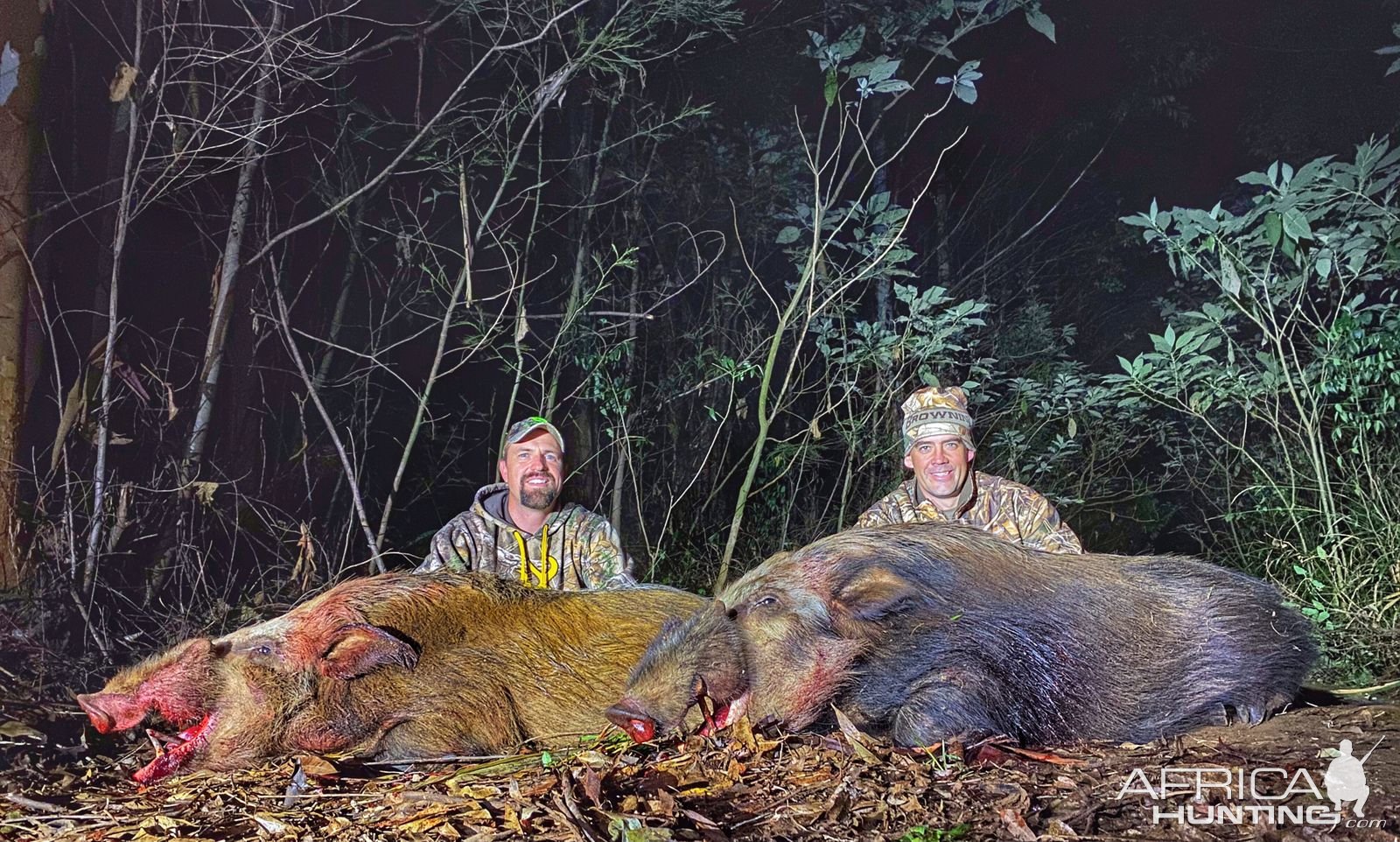 Bushpig Boar double