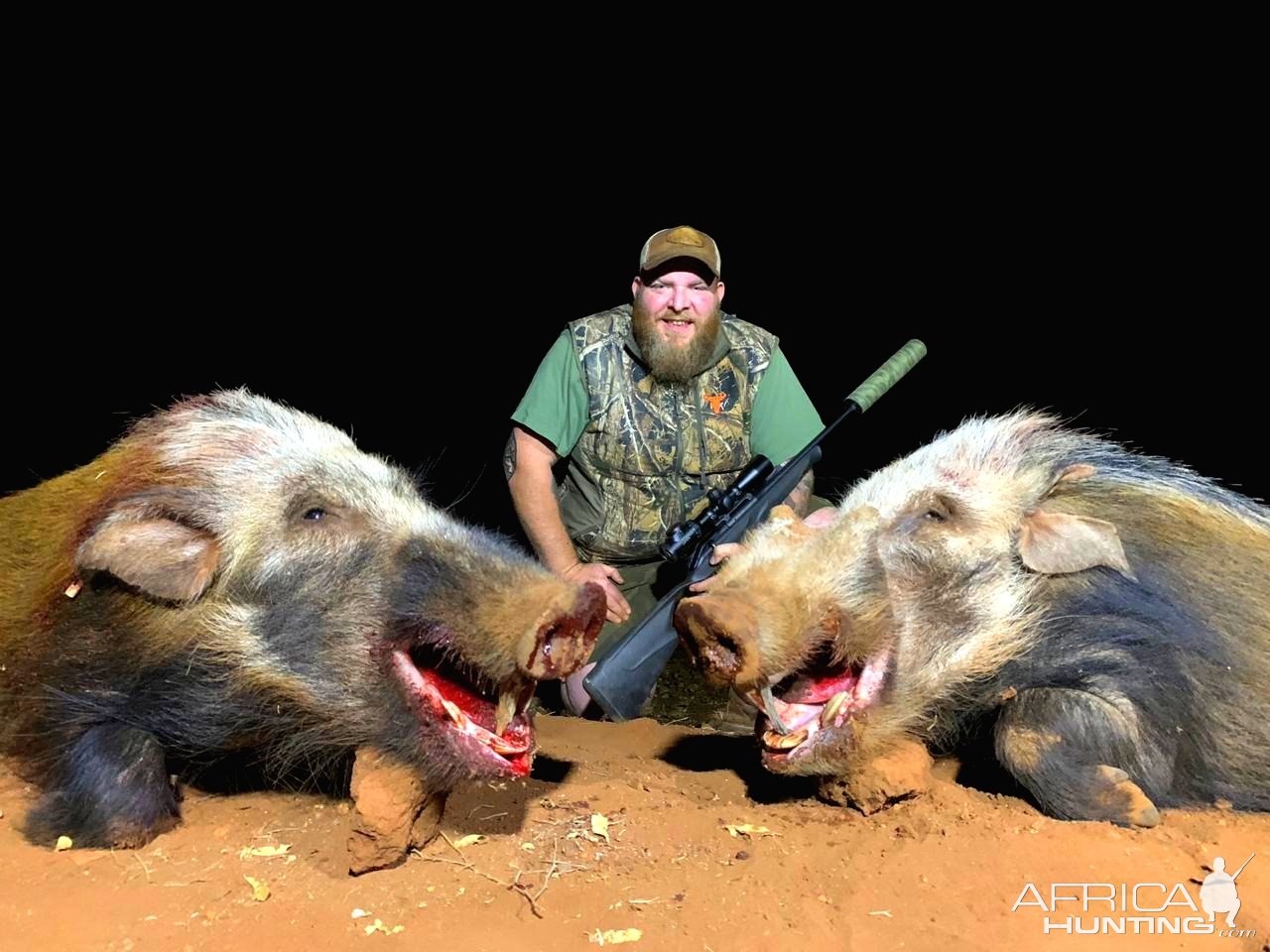 Bushpig Boar