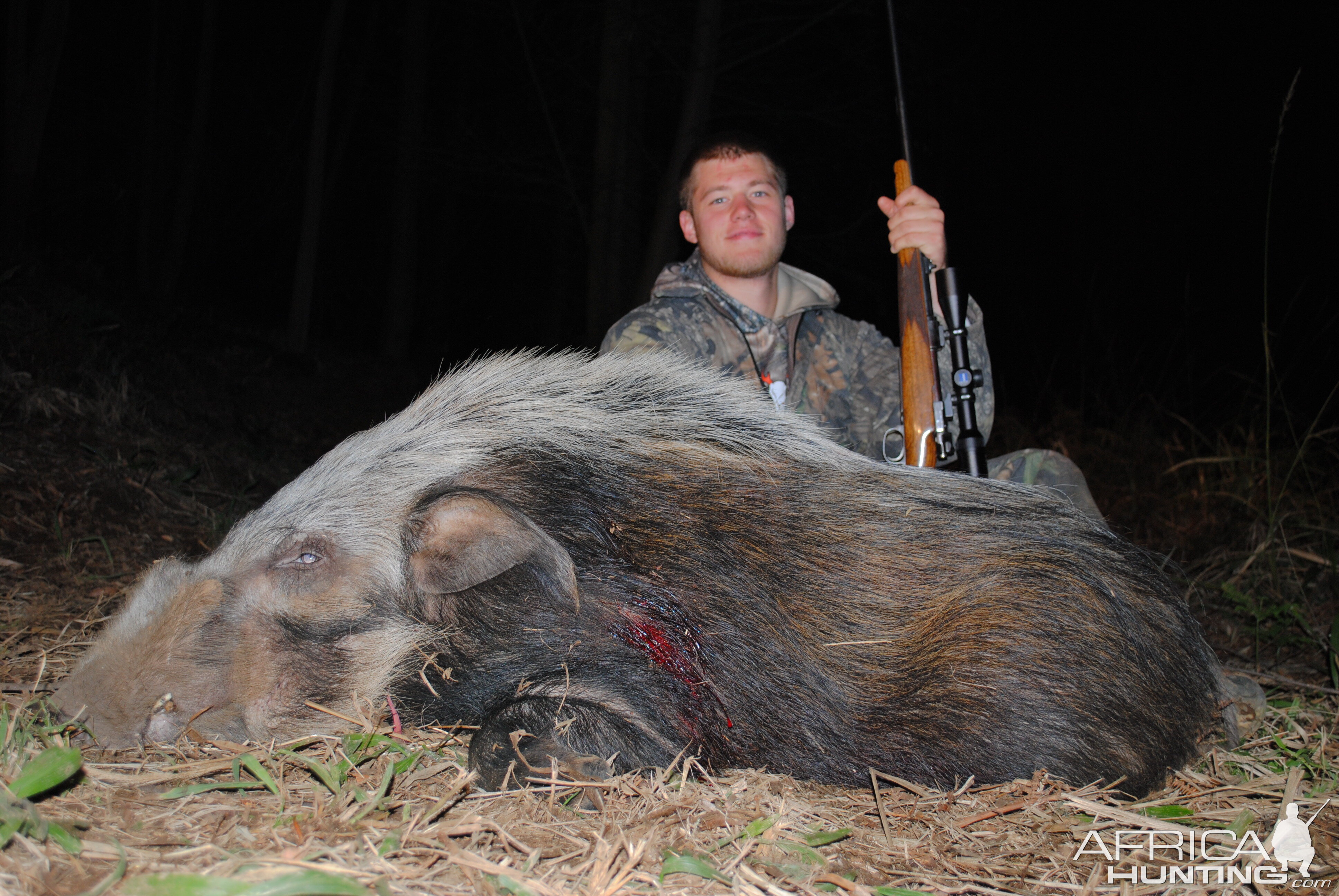 Bushpig Boar