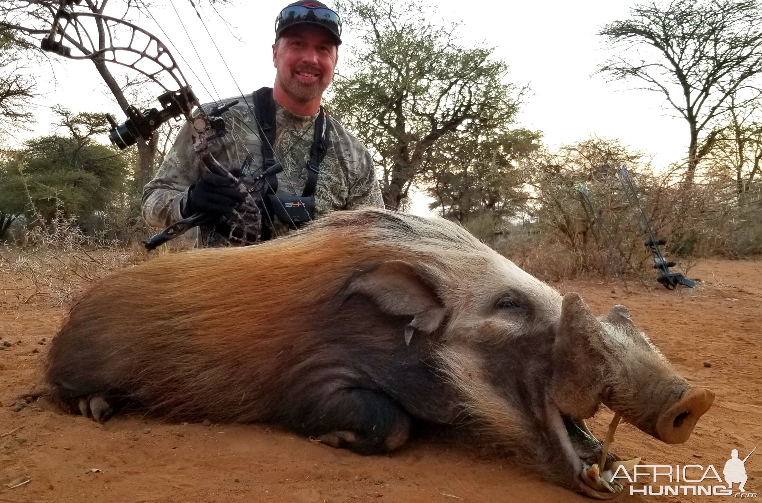 Bushpig Bow Hunt South Africa