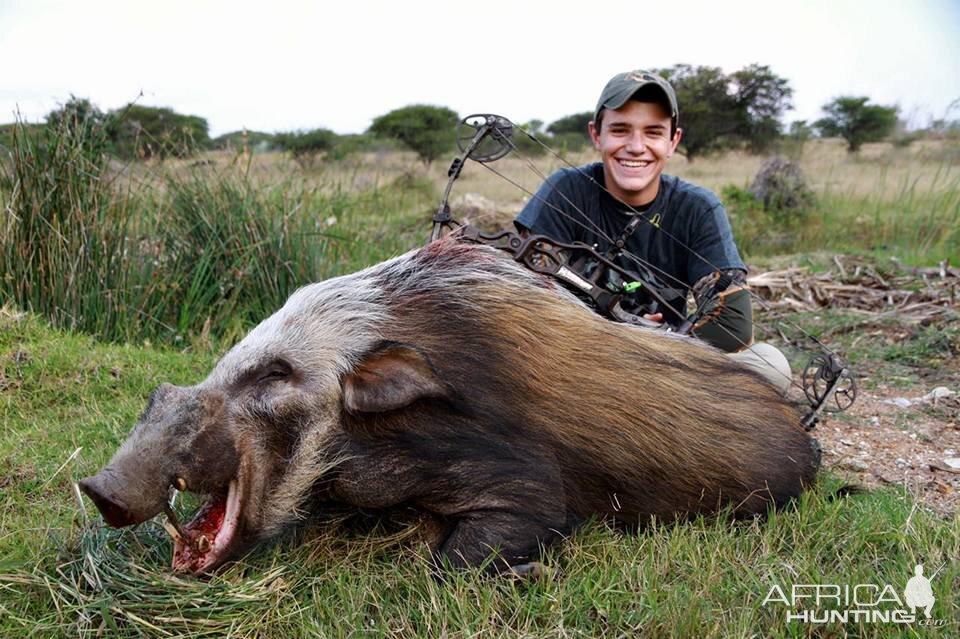 Bushpig Bow Hunt South Africa