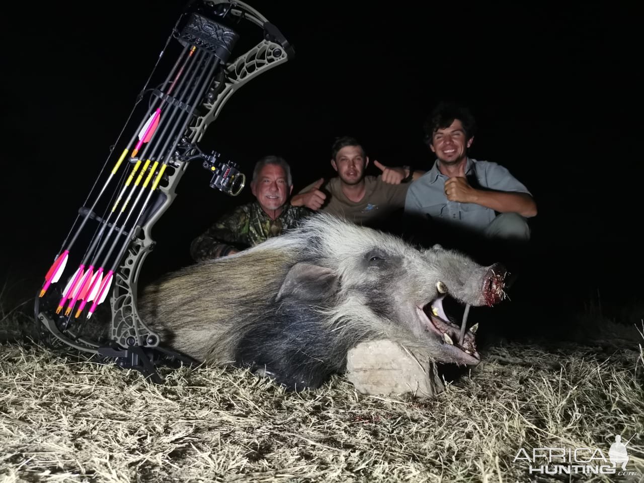 Bushpig Bow Hunt Success