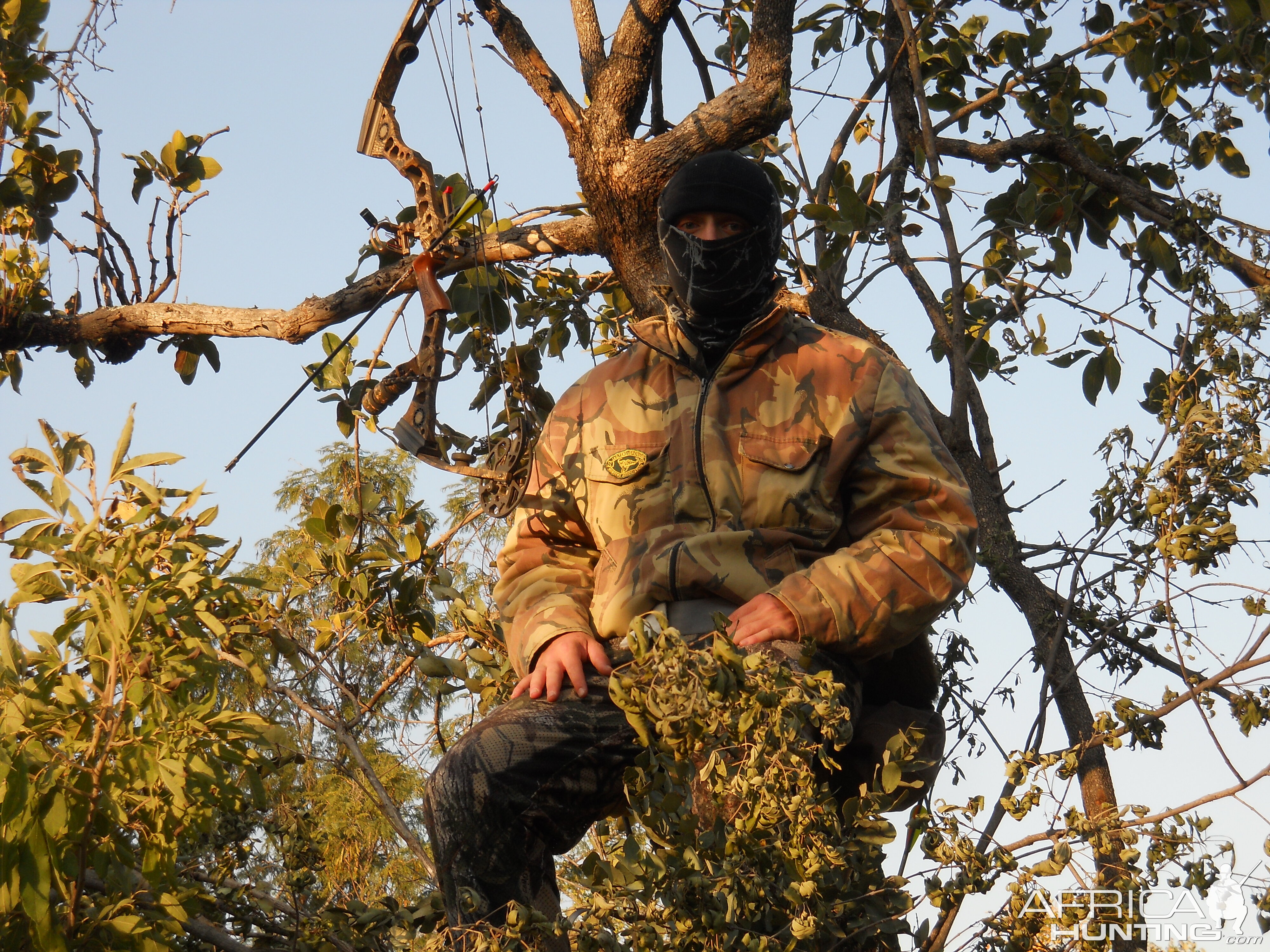 Bushpig Bow Hunting in South Africa