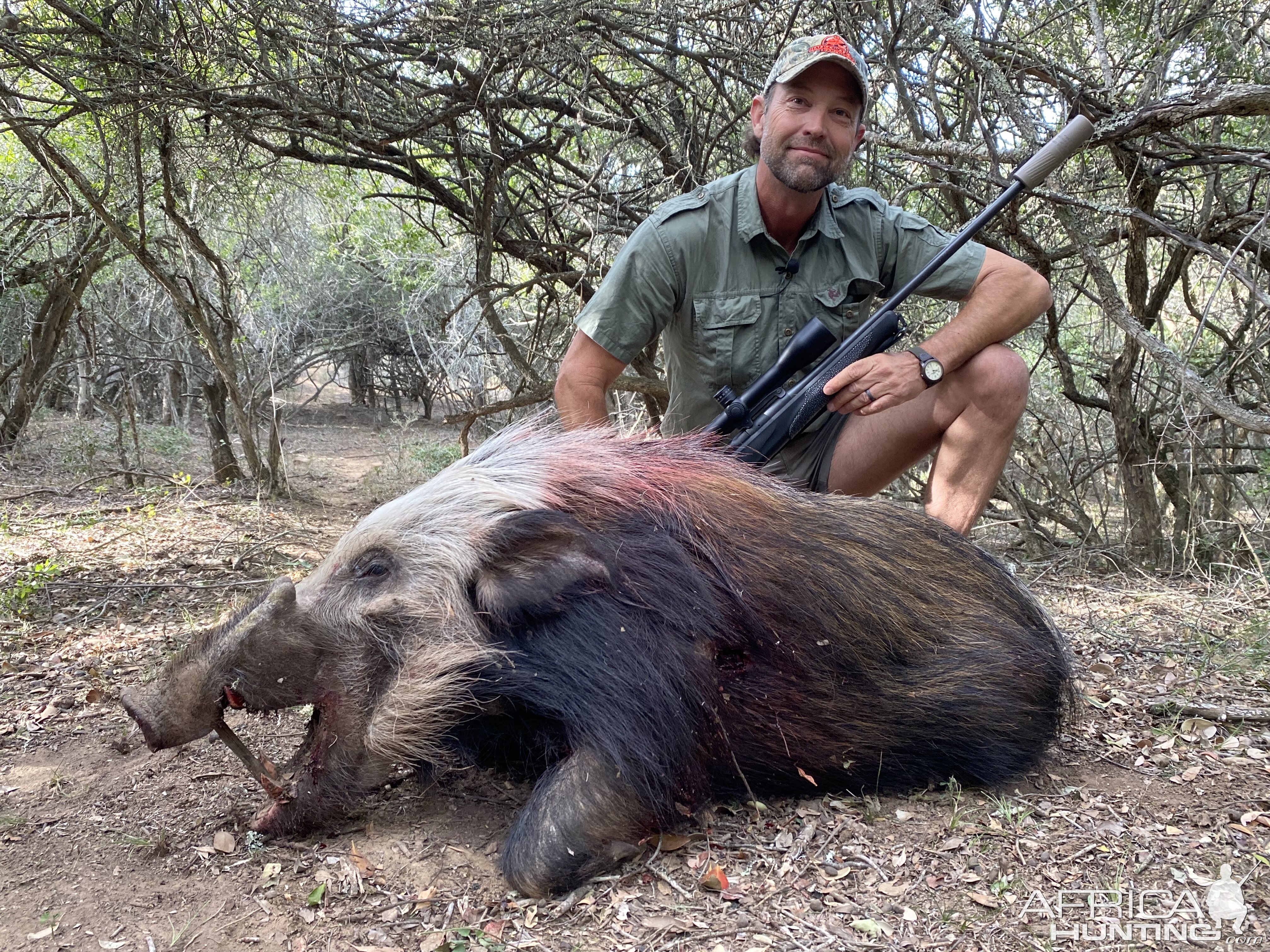 Bushpig Hunt Eastern Cape South Africa