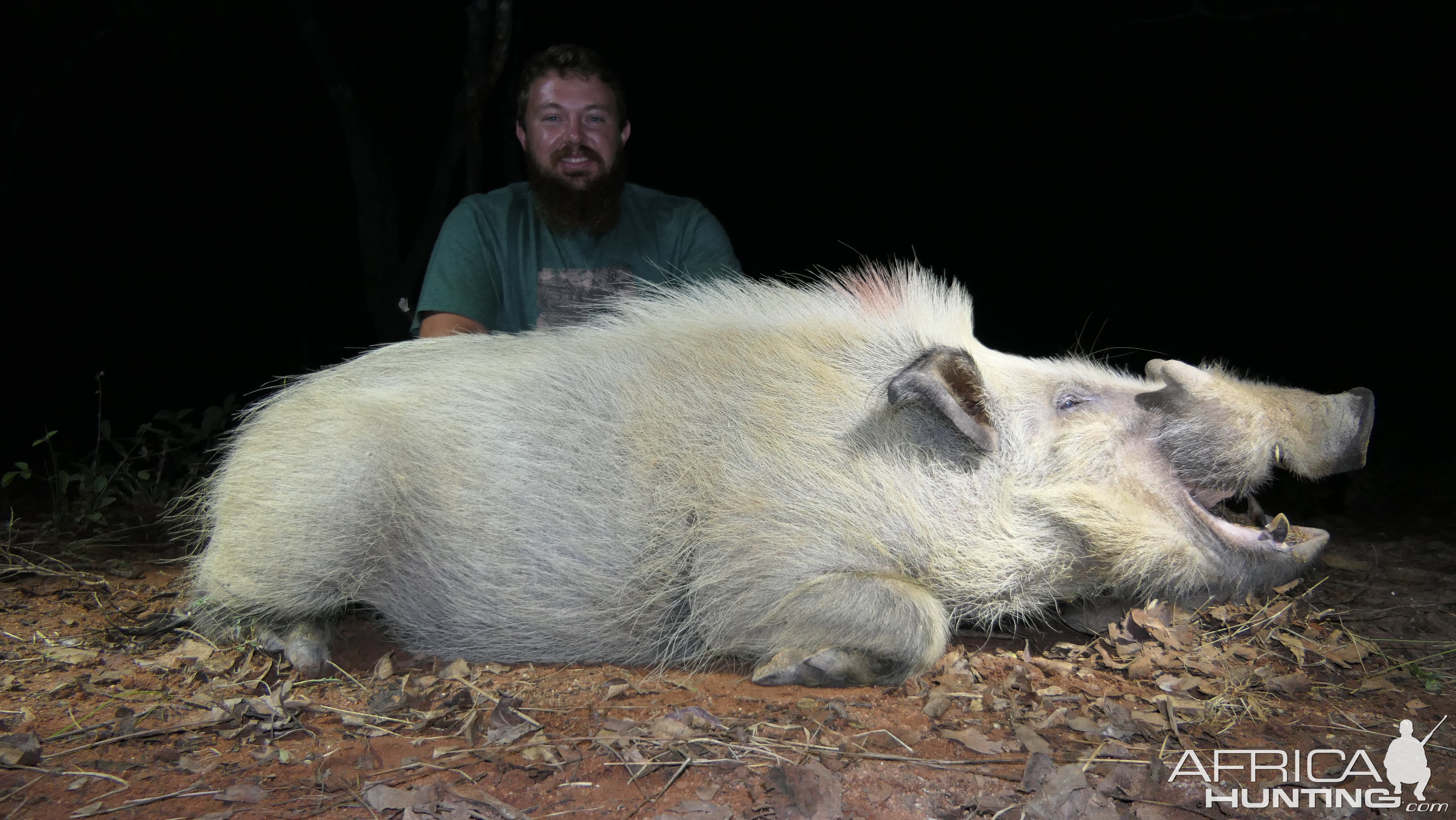 Bushpig Hunt South Africa